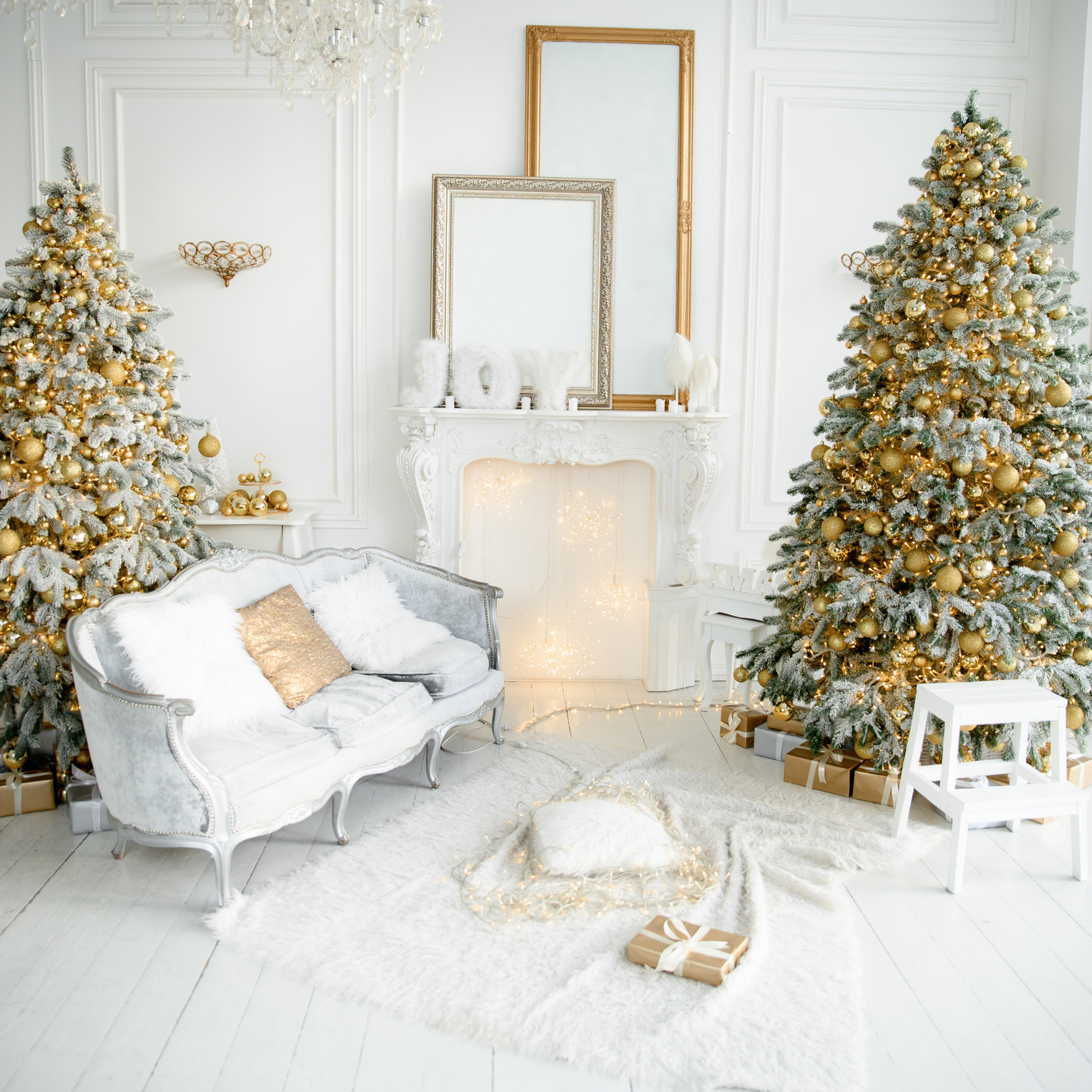 Відгуки. Фотограф Олександр Демиденко