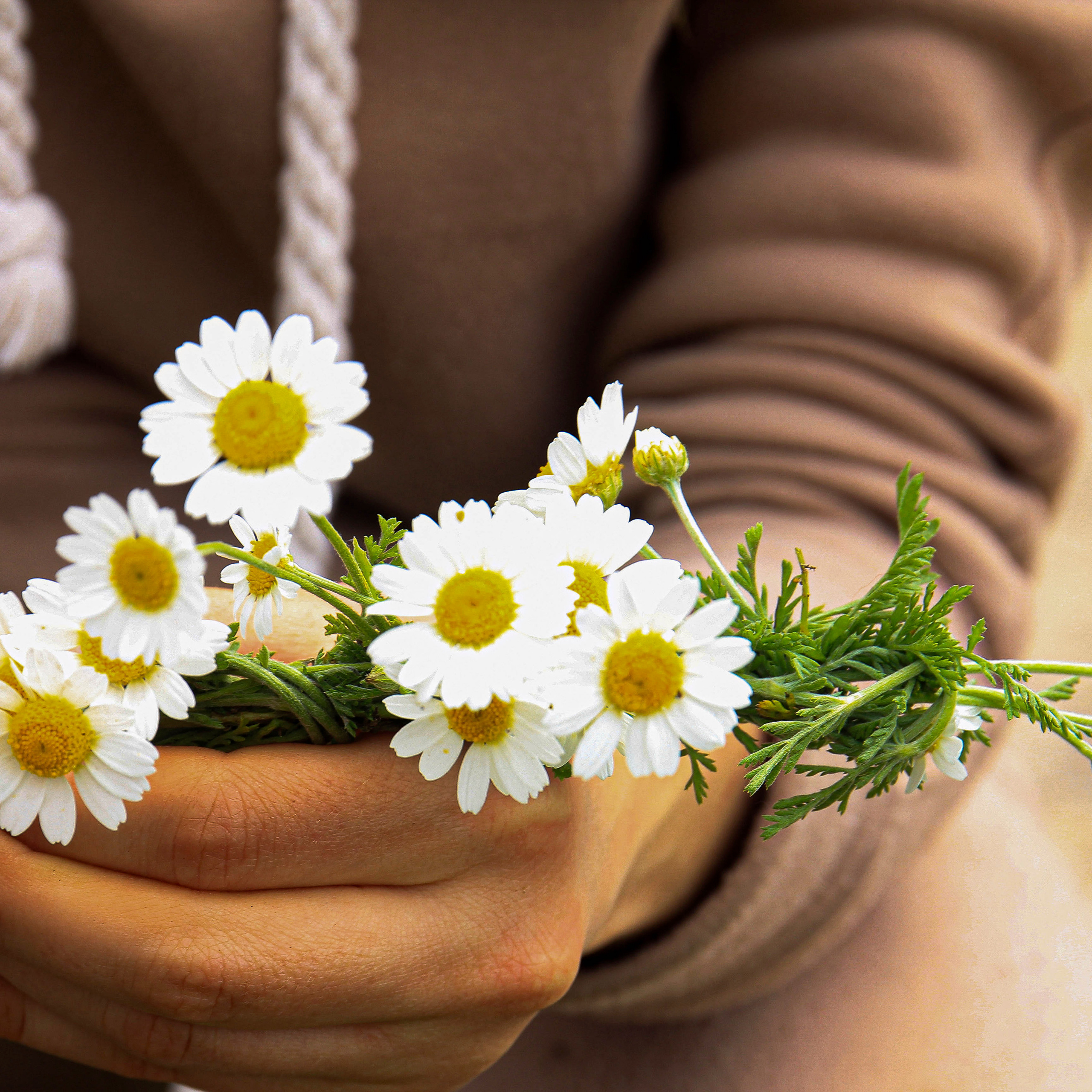 Ваші відгуки про роботи від фотографа Олена Логвінова. Дитячий та сімейний фотограф Олена Логвінова
