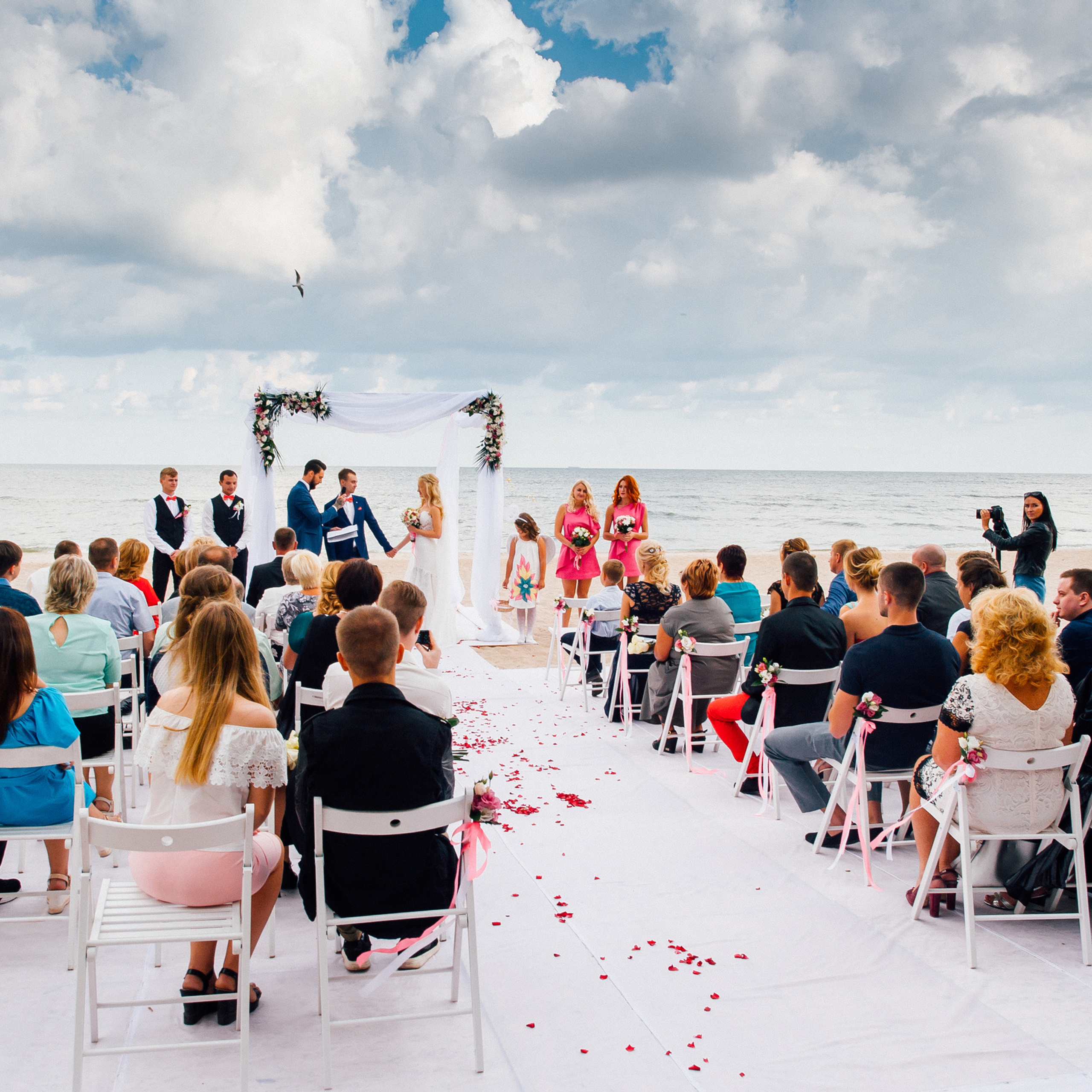 Reviews. Elegant Wedding Photography