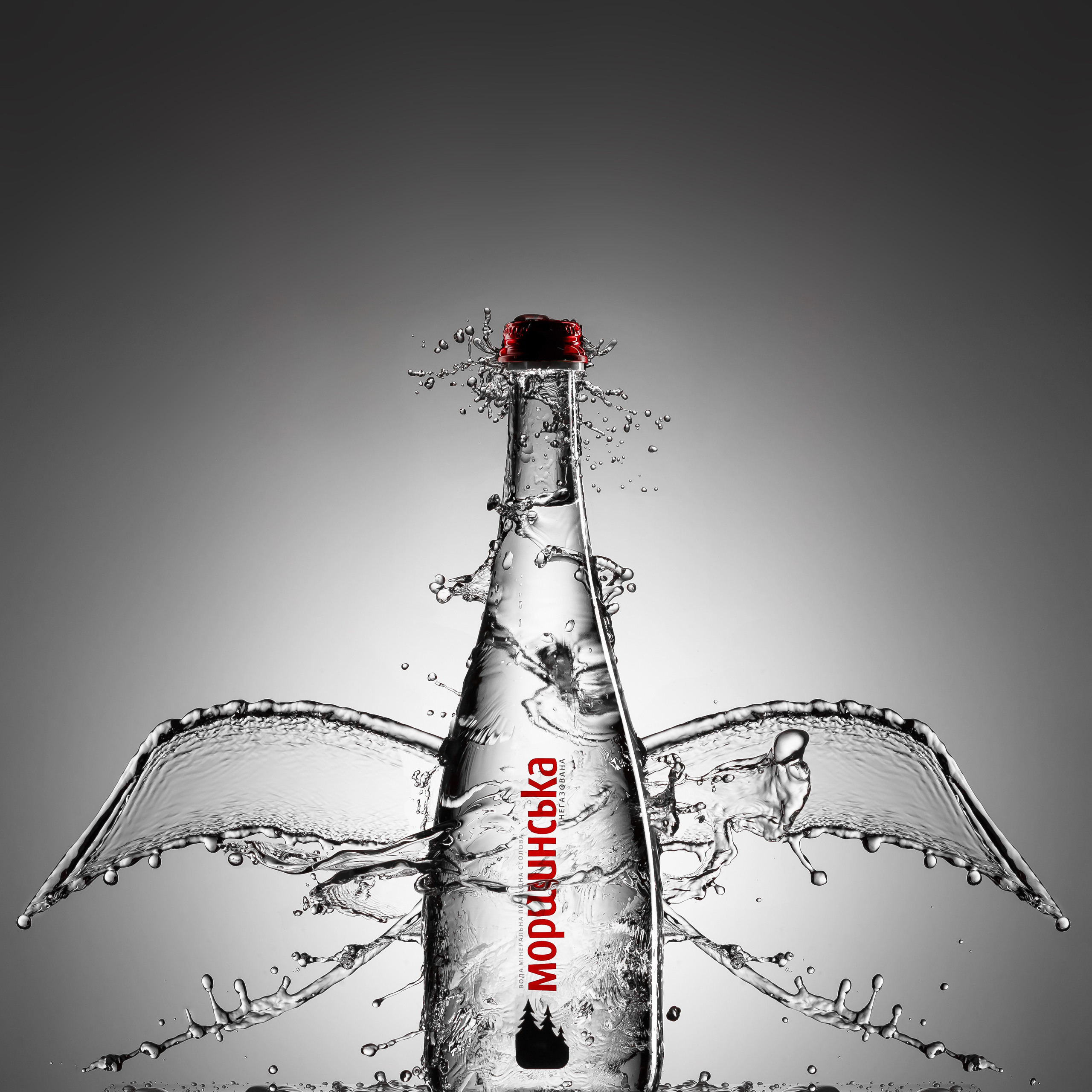 Commercial Product. Александр Македонский | фотограф