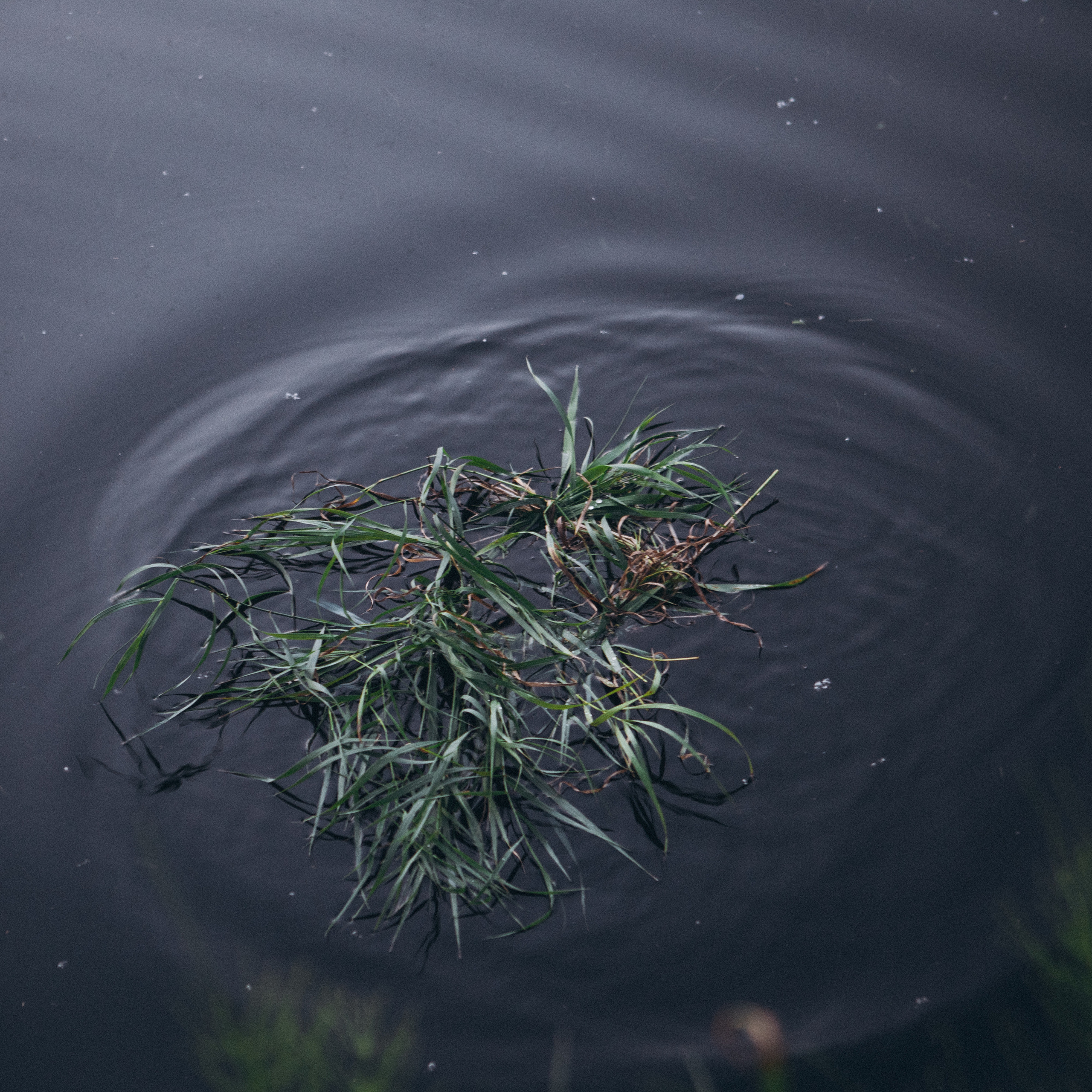 My clients. Julia Sonata. Berlin