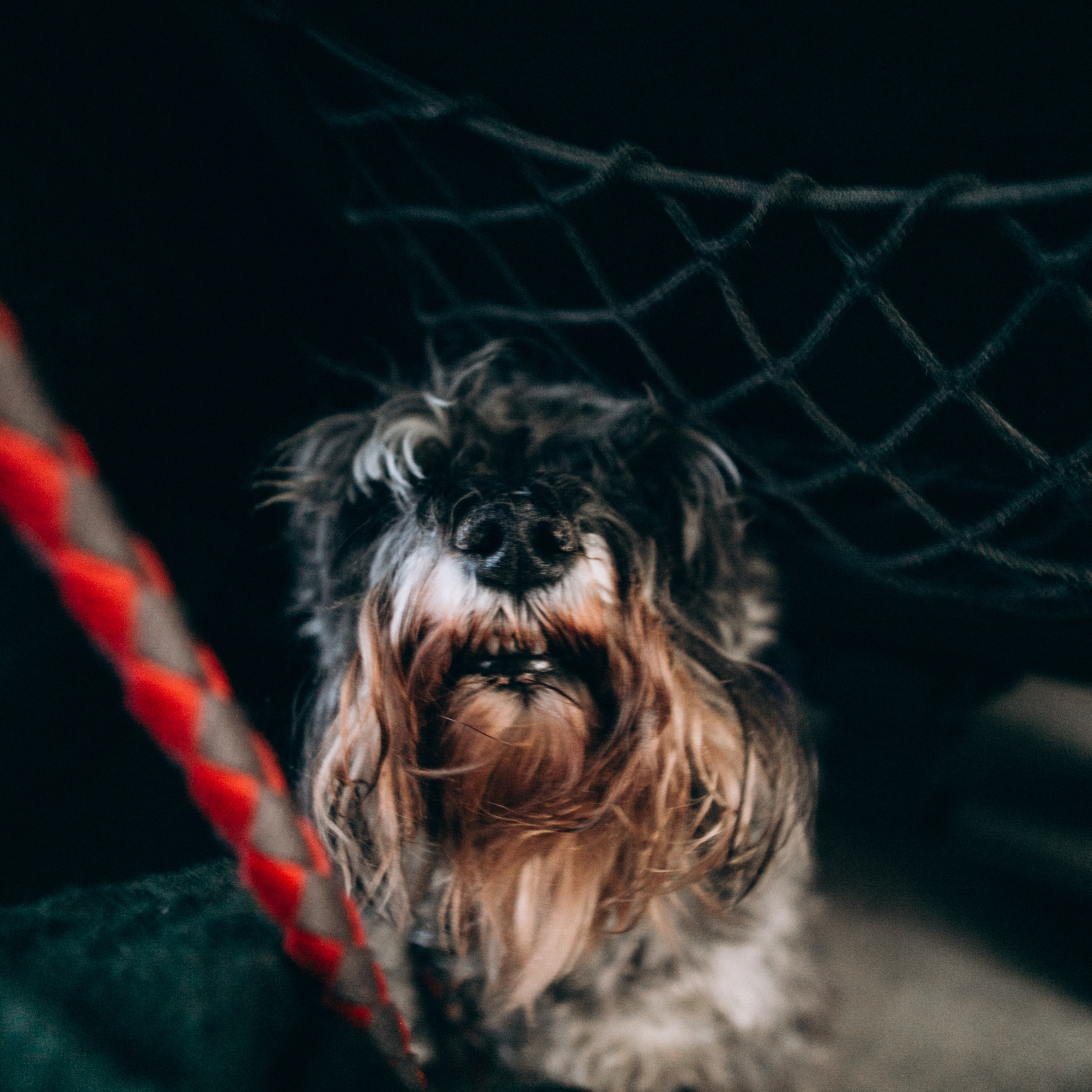 Installation «HOME». Julia Sonata. Berlin