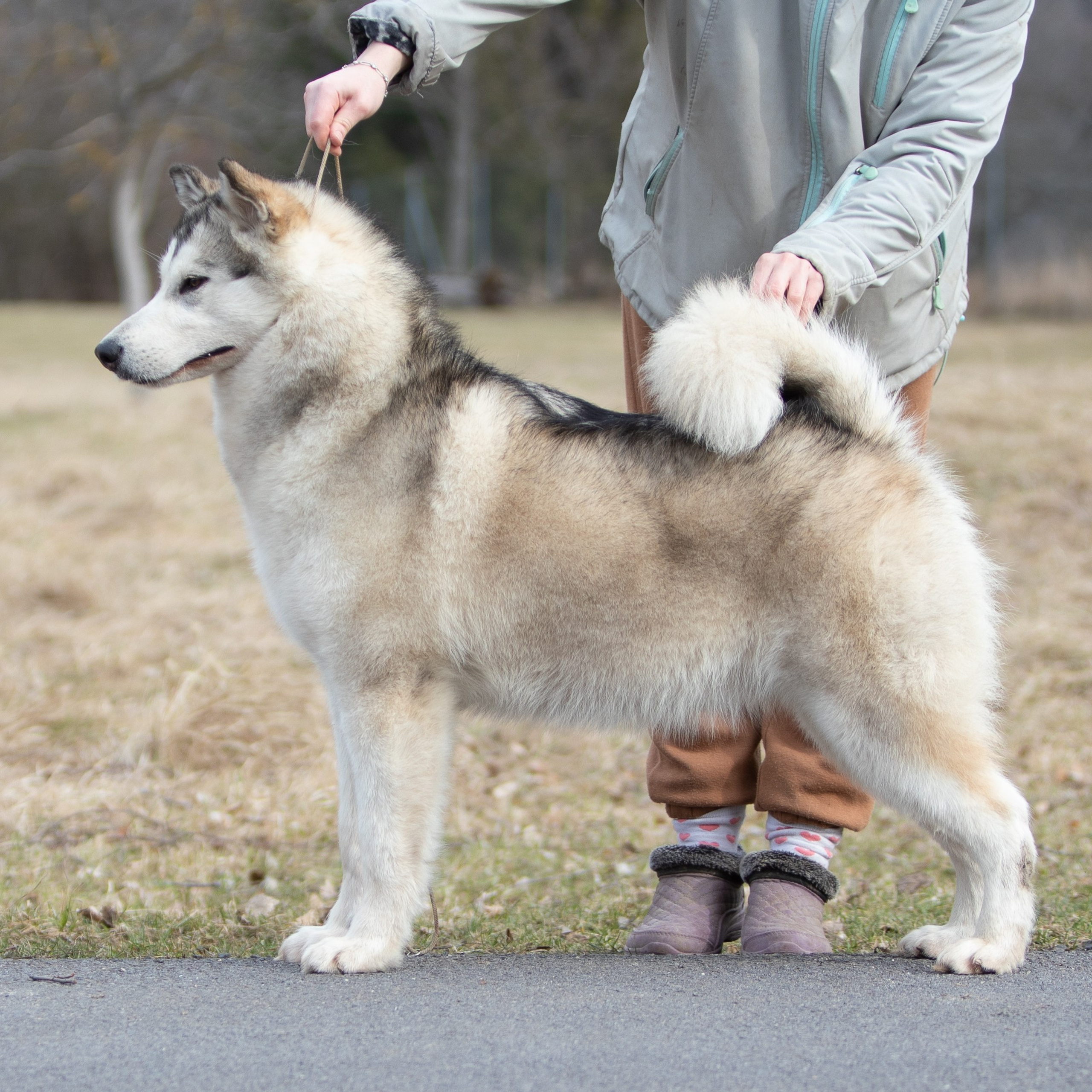 AVENTURAS EN ALASKA KODY