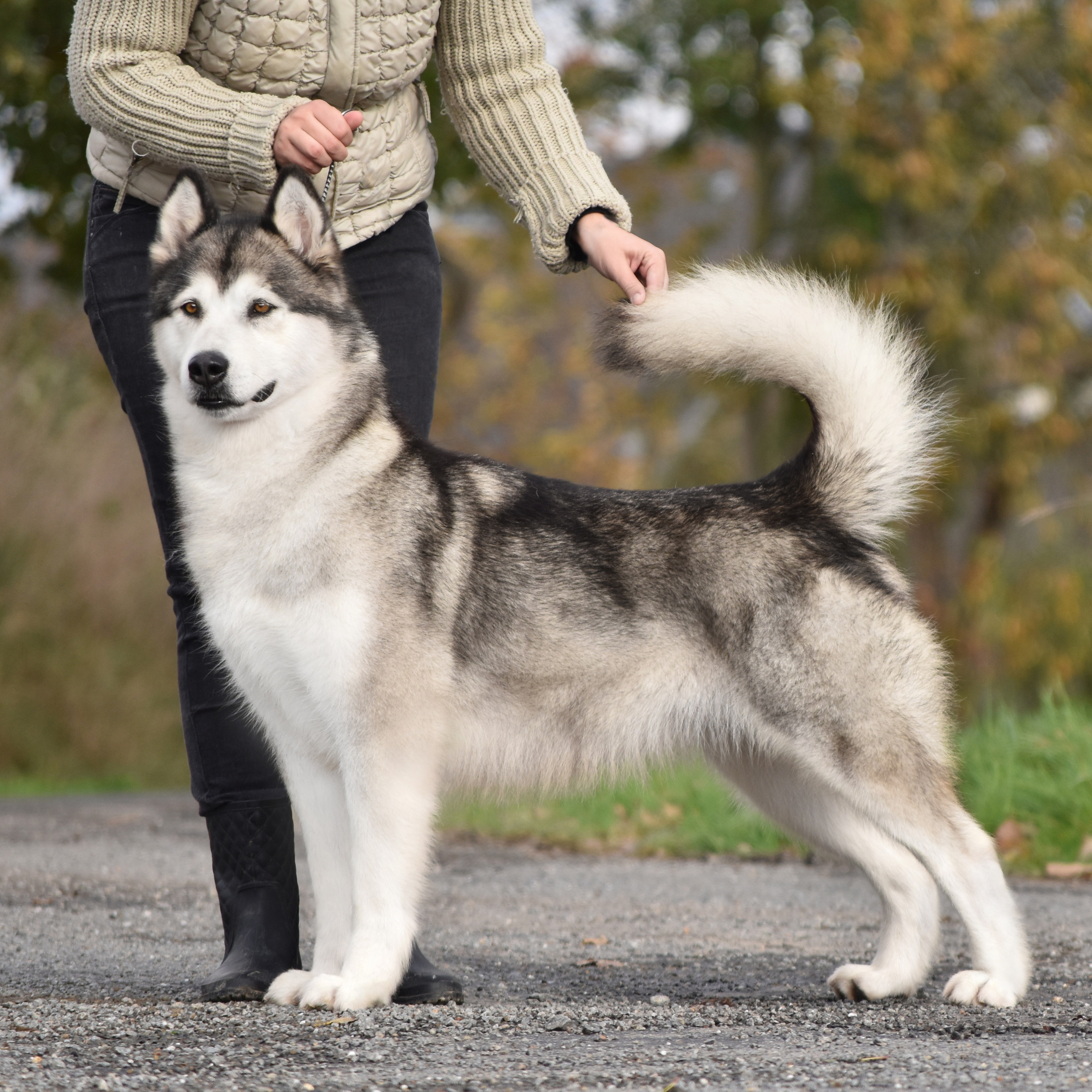 KLEOPATRA OT FILIPPOVOY