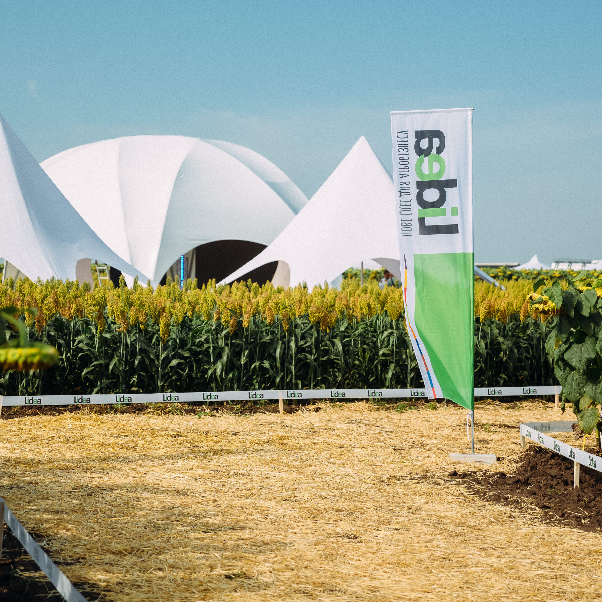 Lidea. Весільний та Репортажний фотограф Іванченко Максим. Дніпро, Україна