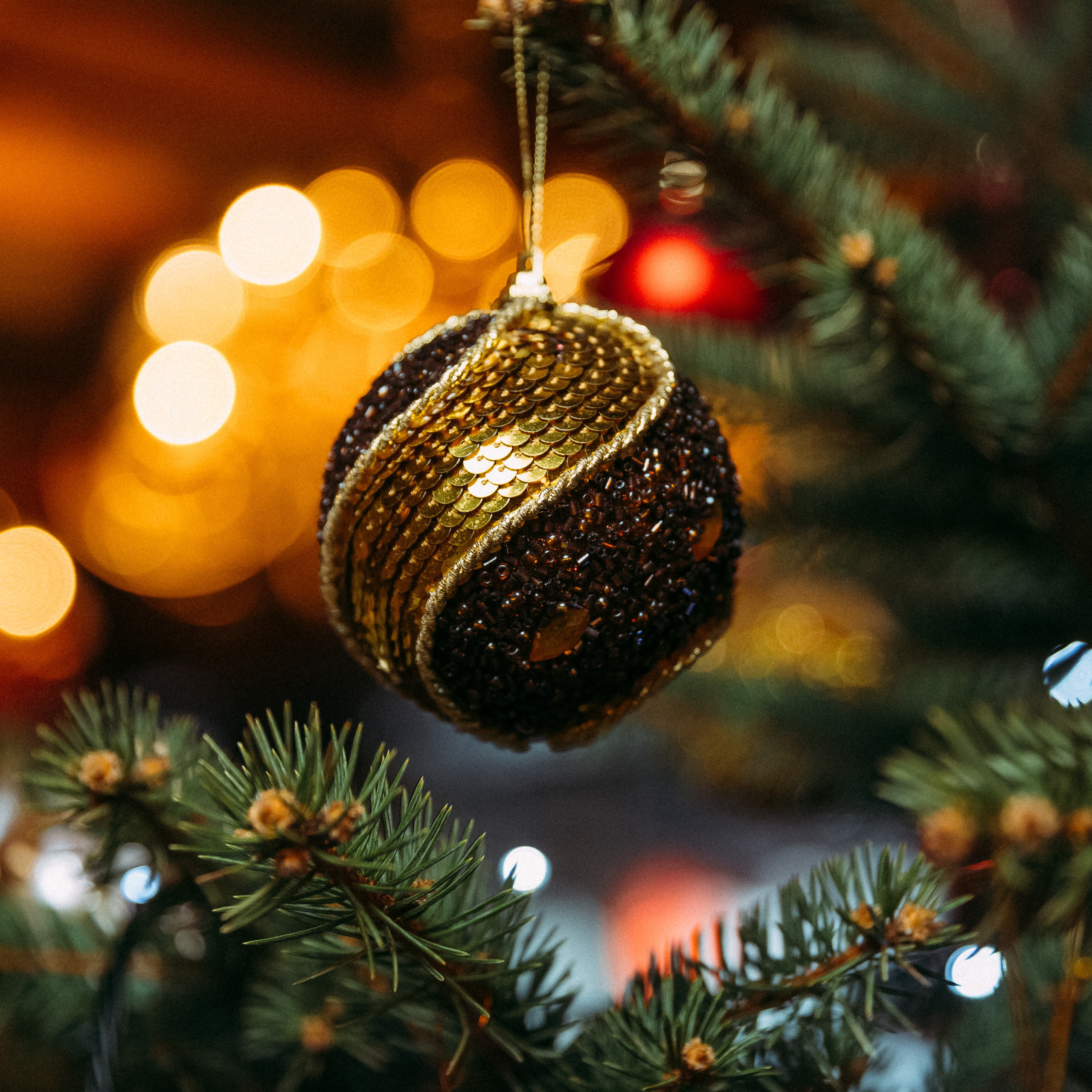 Відгуки про роботу фотографа. Весільний та репортажний фотограф у Дніпрі — Максим Іванченко