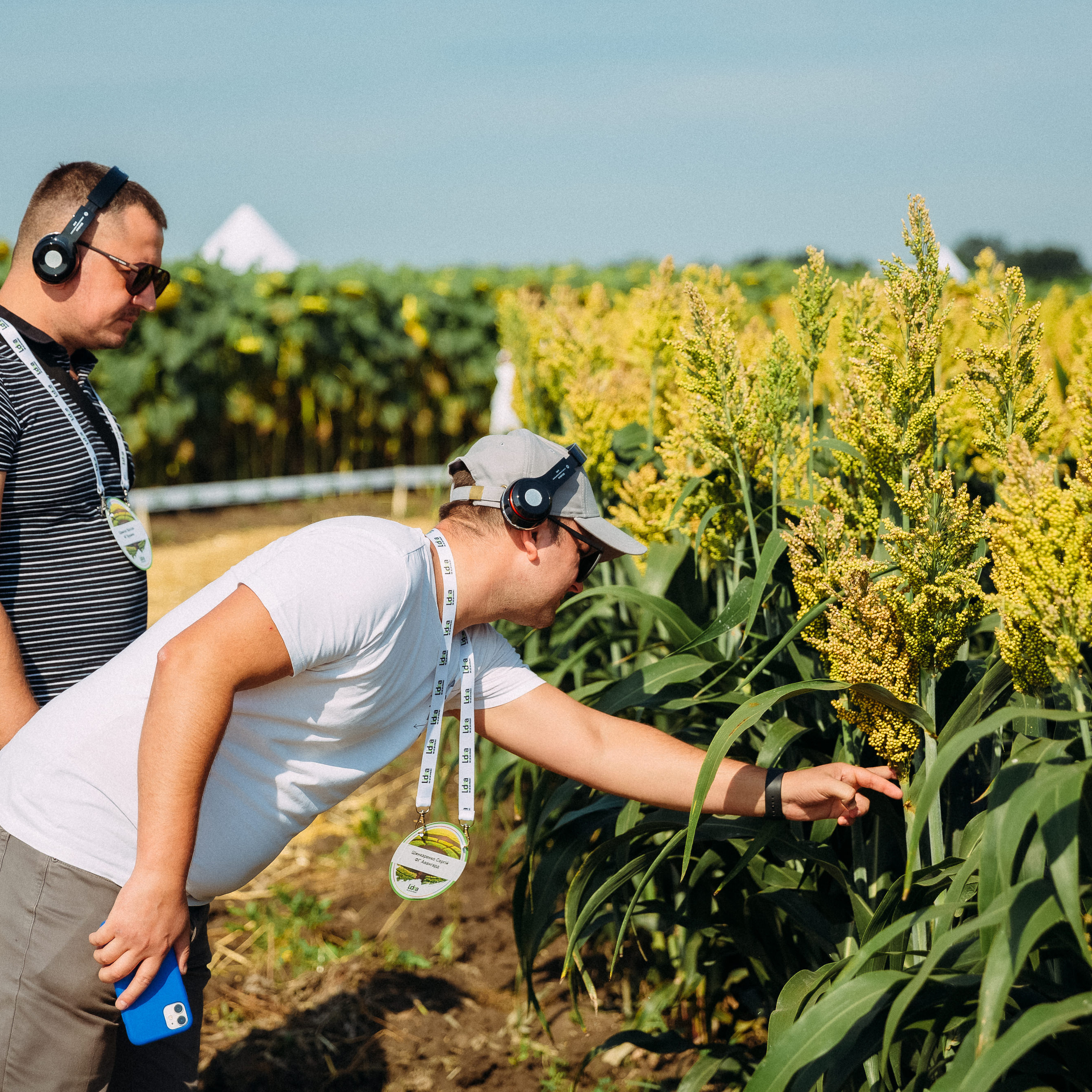 Lidea. Весільний та Репортажний фотограф Іванченко Максим. Дніпро, Україна