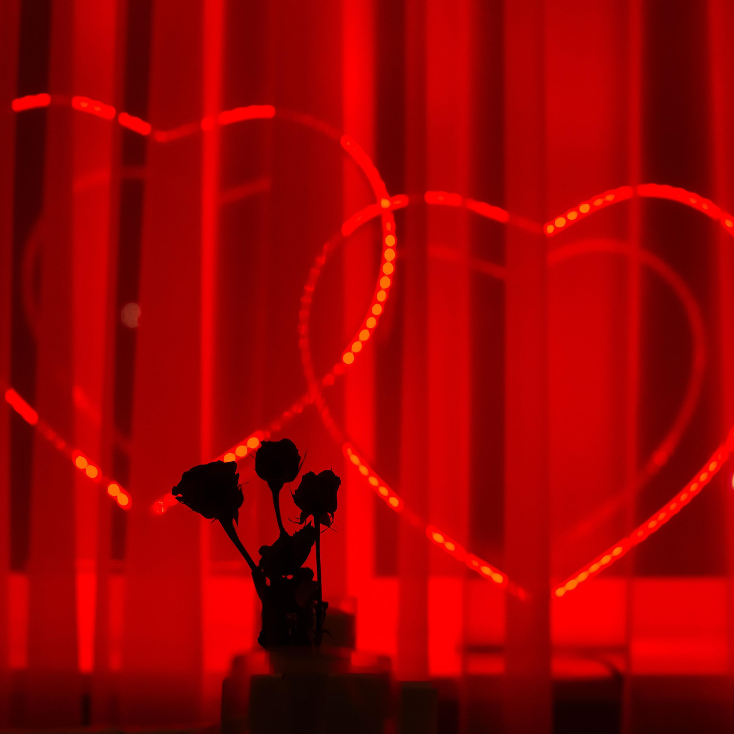 Отзывы. Фотограф в Брно— Артем Сидоров