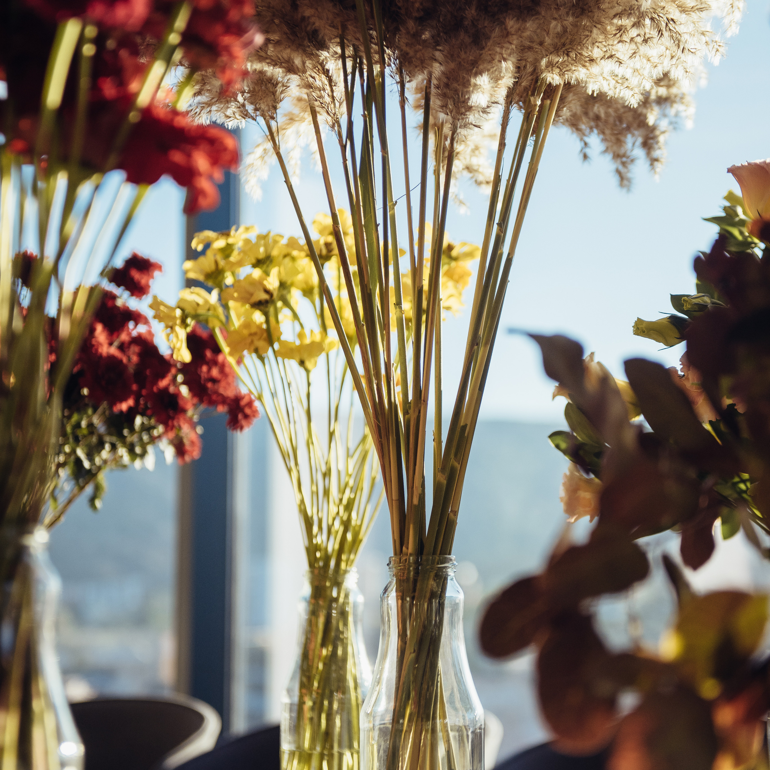 Comments. Свадебный и семейный фотограф в Германии, Пакош Валентина