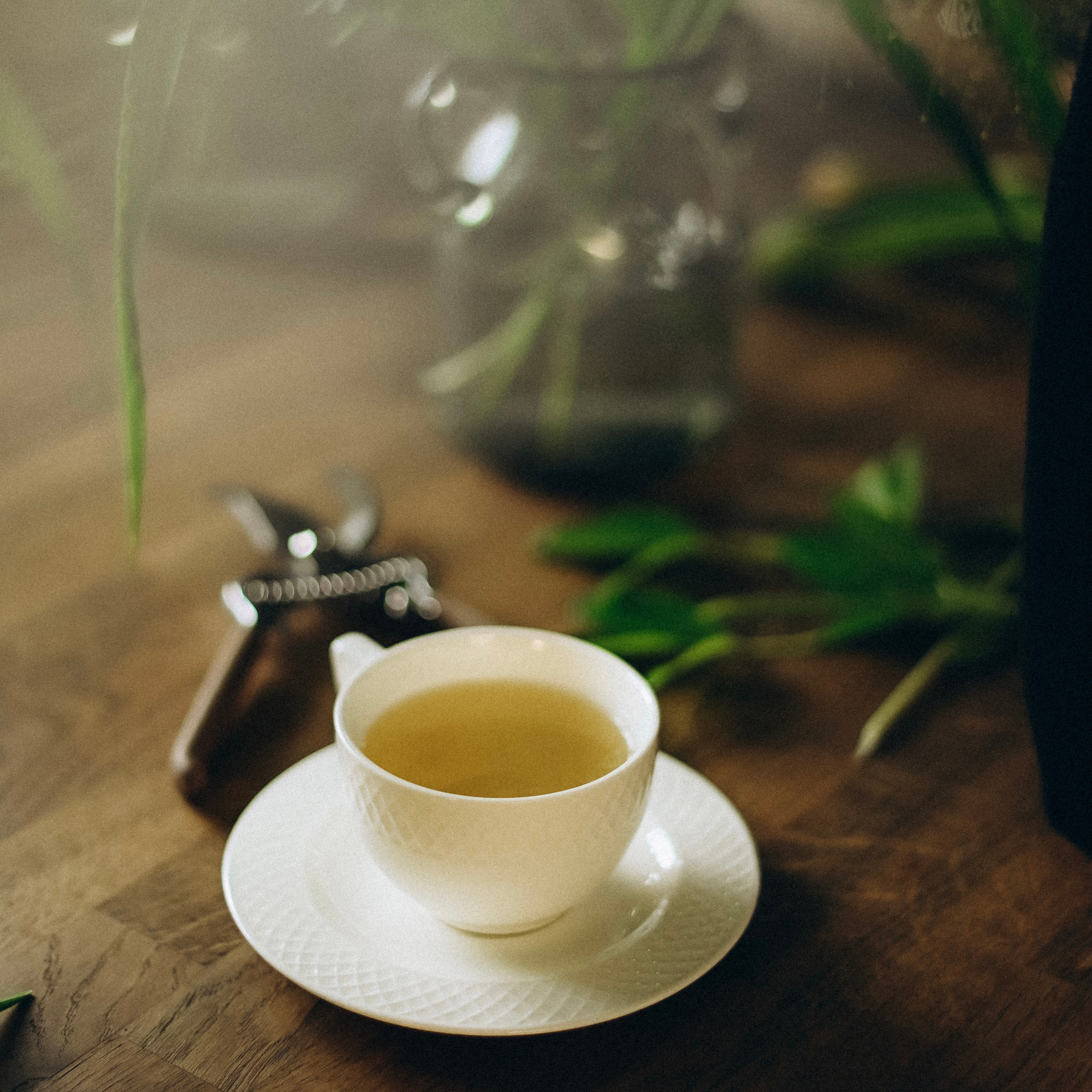 Фотограф Бережна Юлія Прага