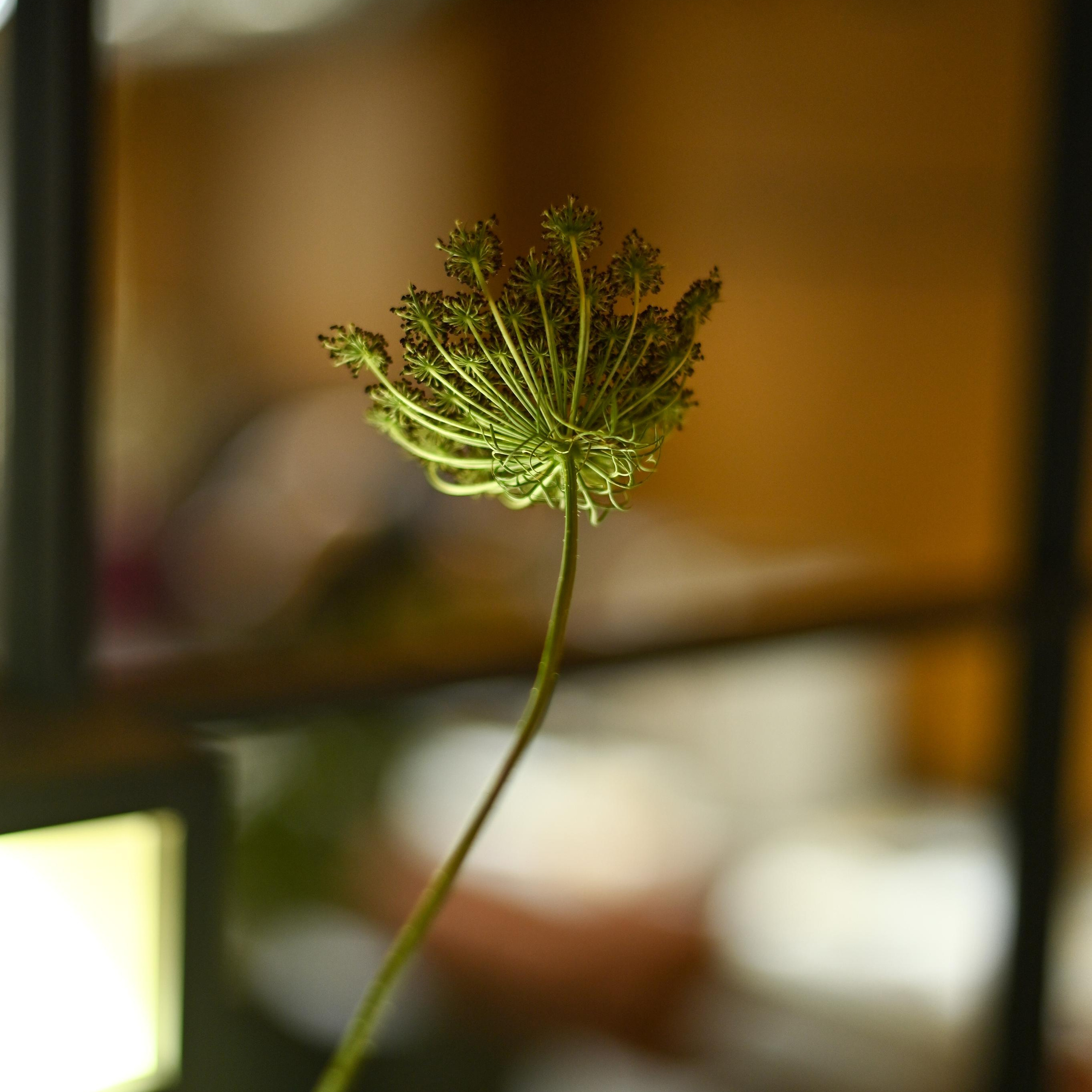 Фотограф Бережна Юлія Прага