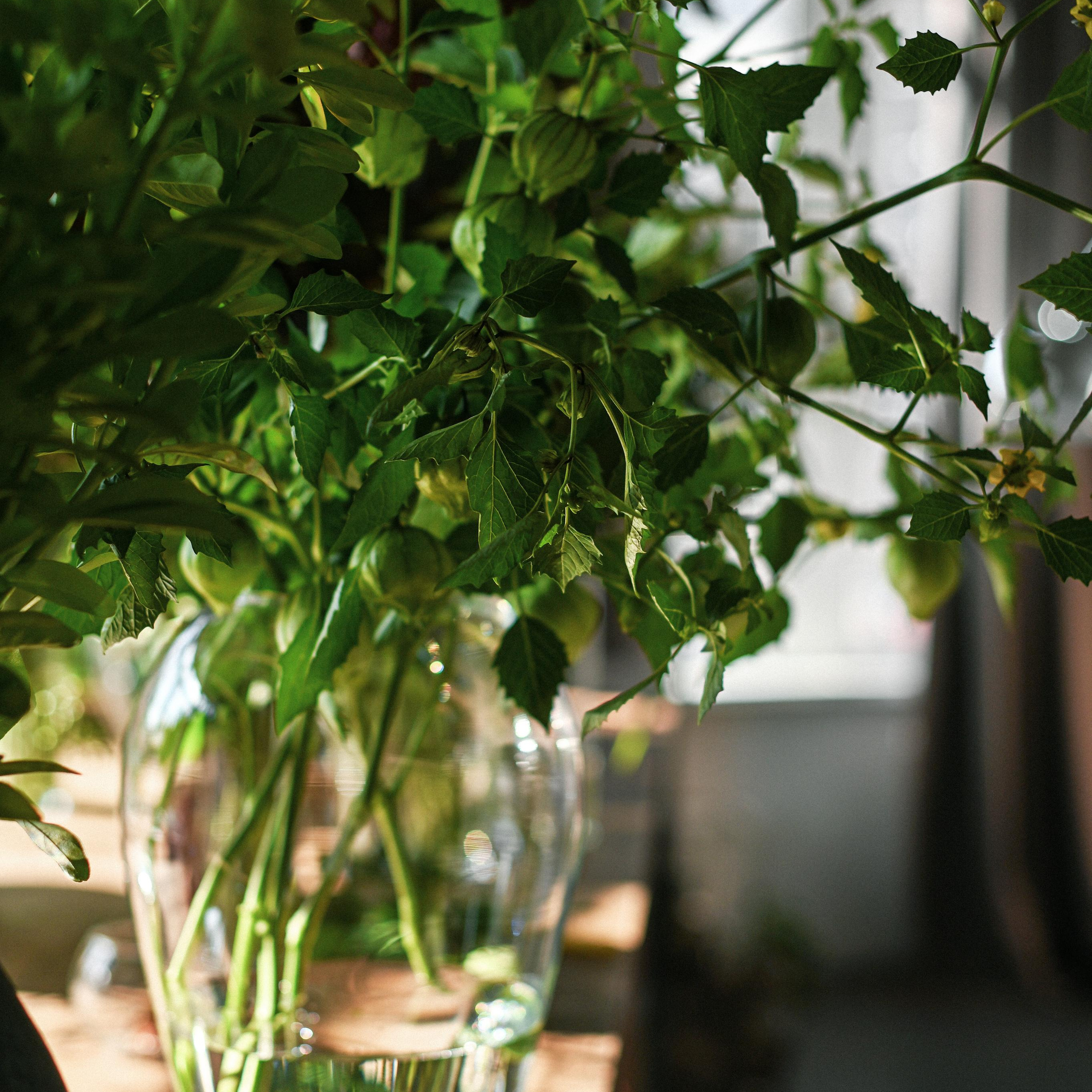 Фотограф Бережна Юлія Прага