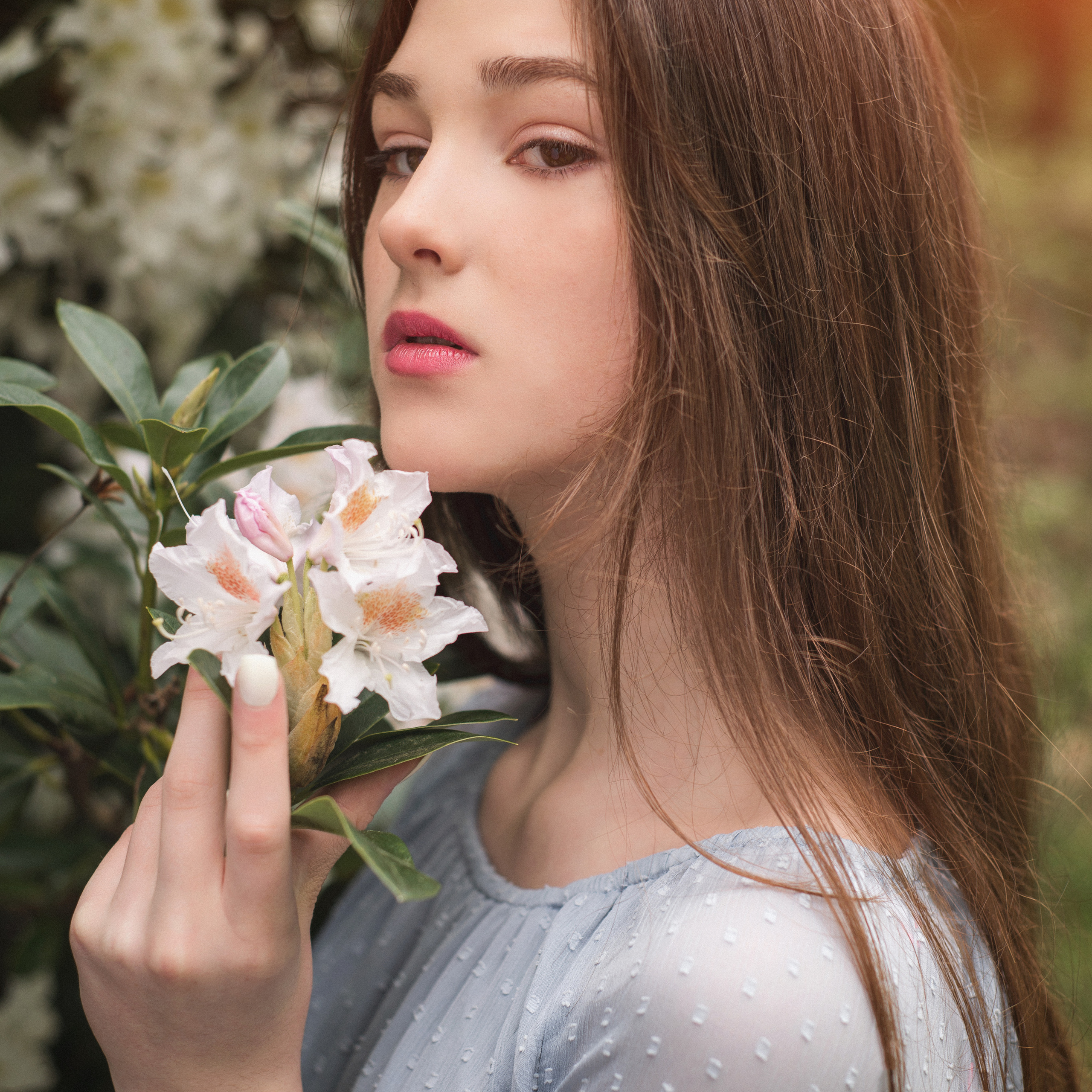 May, flowers, Netherlands…