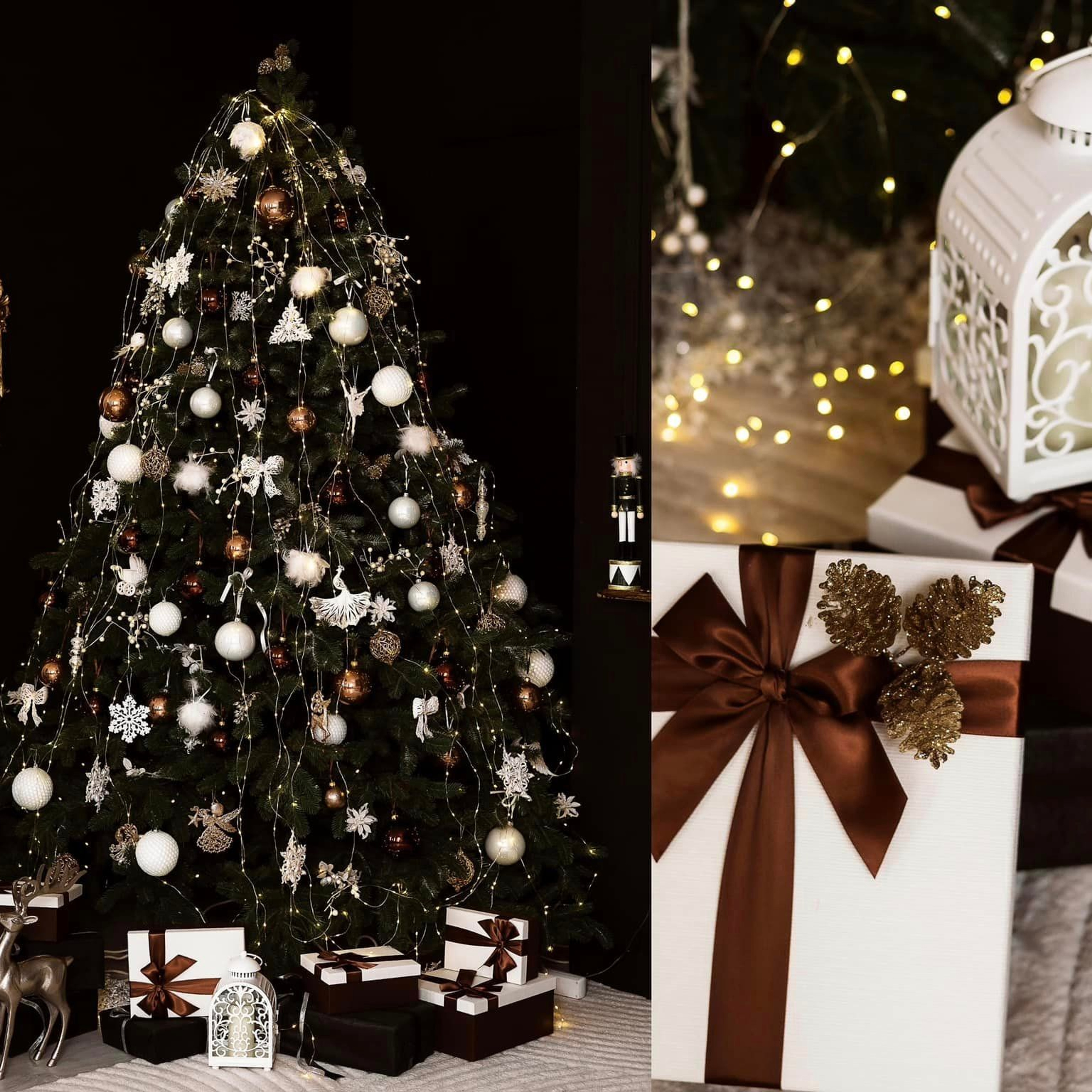 Рекомендовані студії. Весільний фотограф Львів Оля Грабовенська