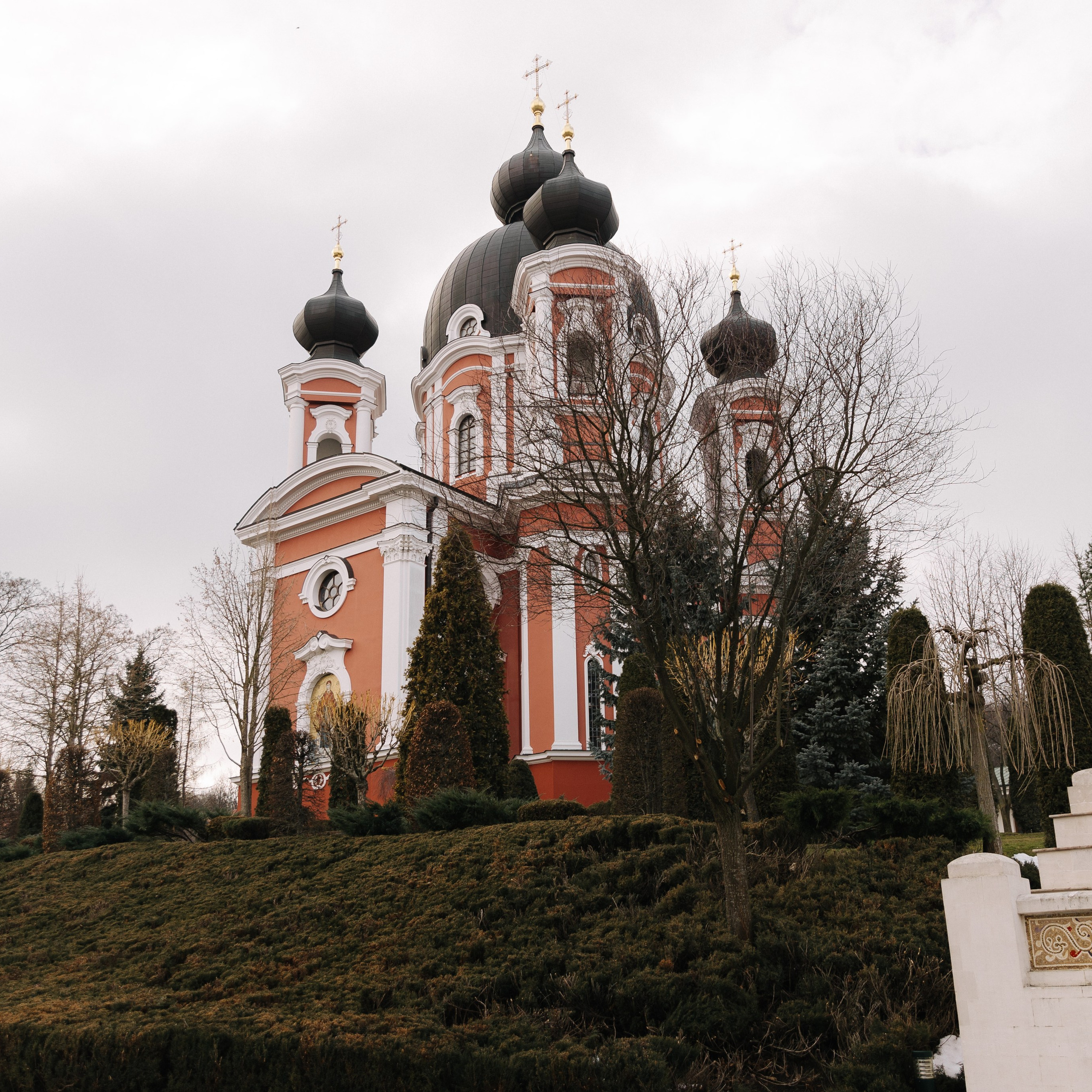 My clients Feedback. Main