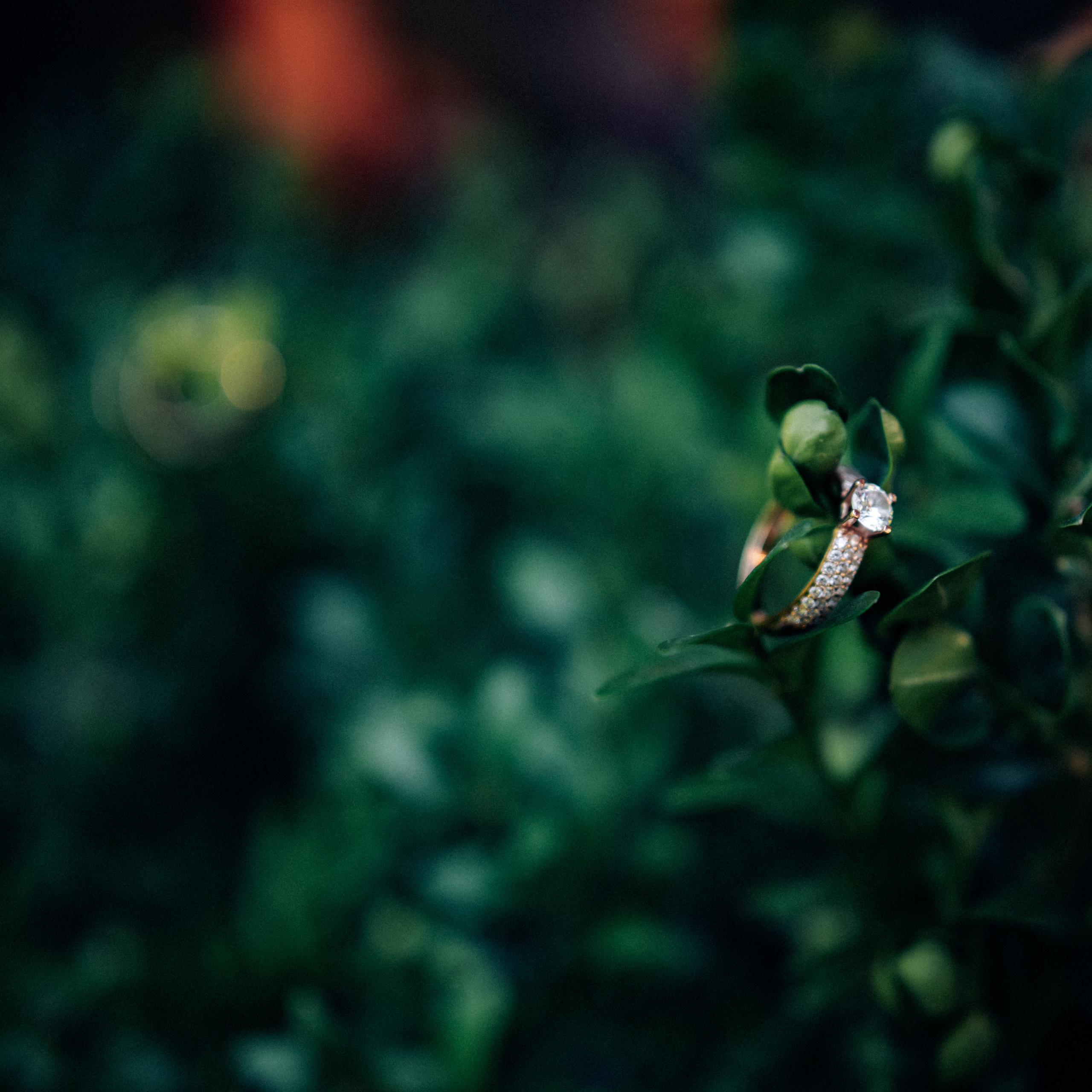 Фотограф Шепетівка Дзекан Денис результати роботи. Фотограф Шепетівка, вся Україна, Дзекан Денис!