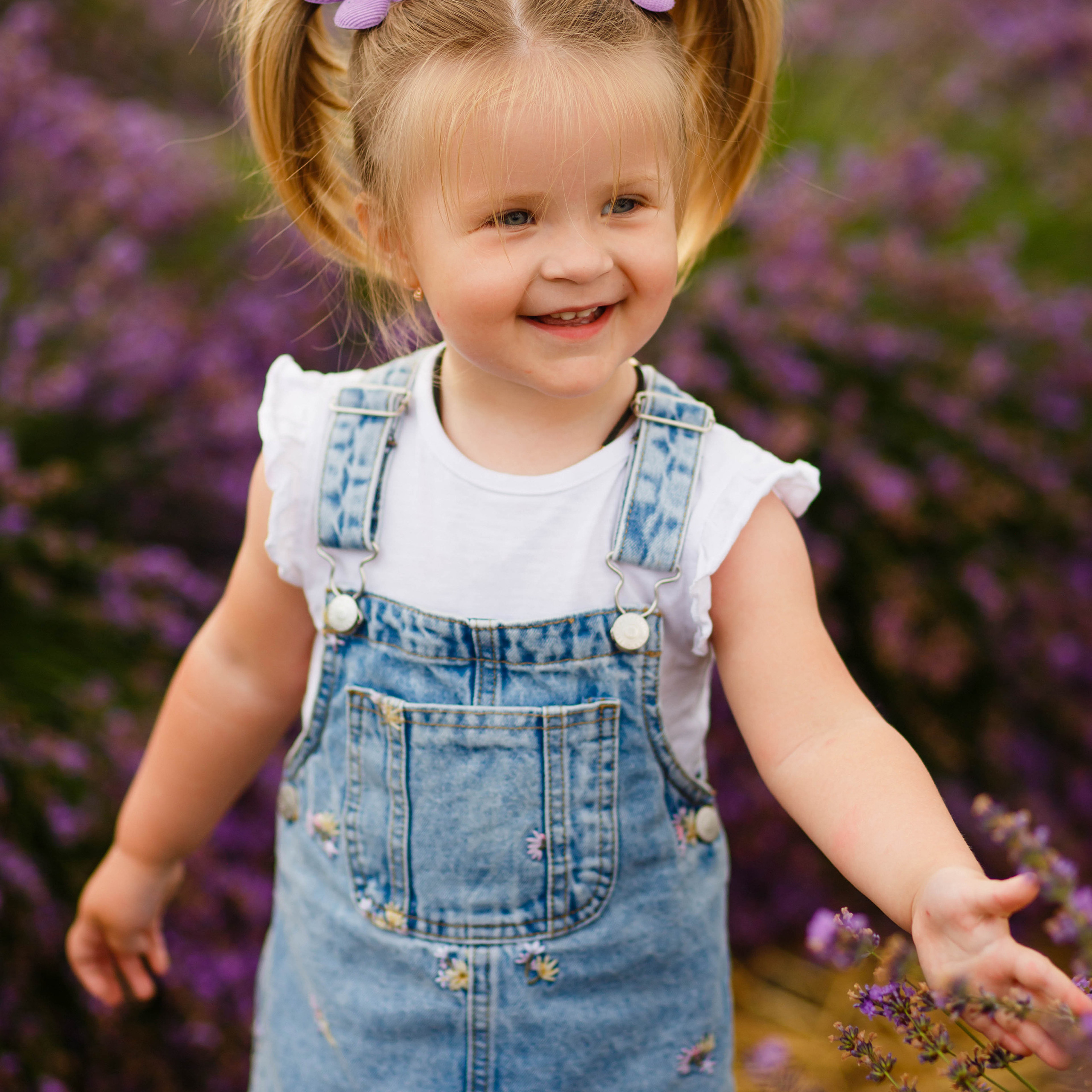 Лавандовий затишок