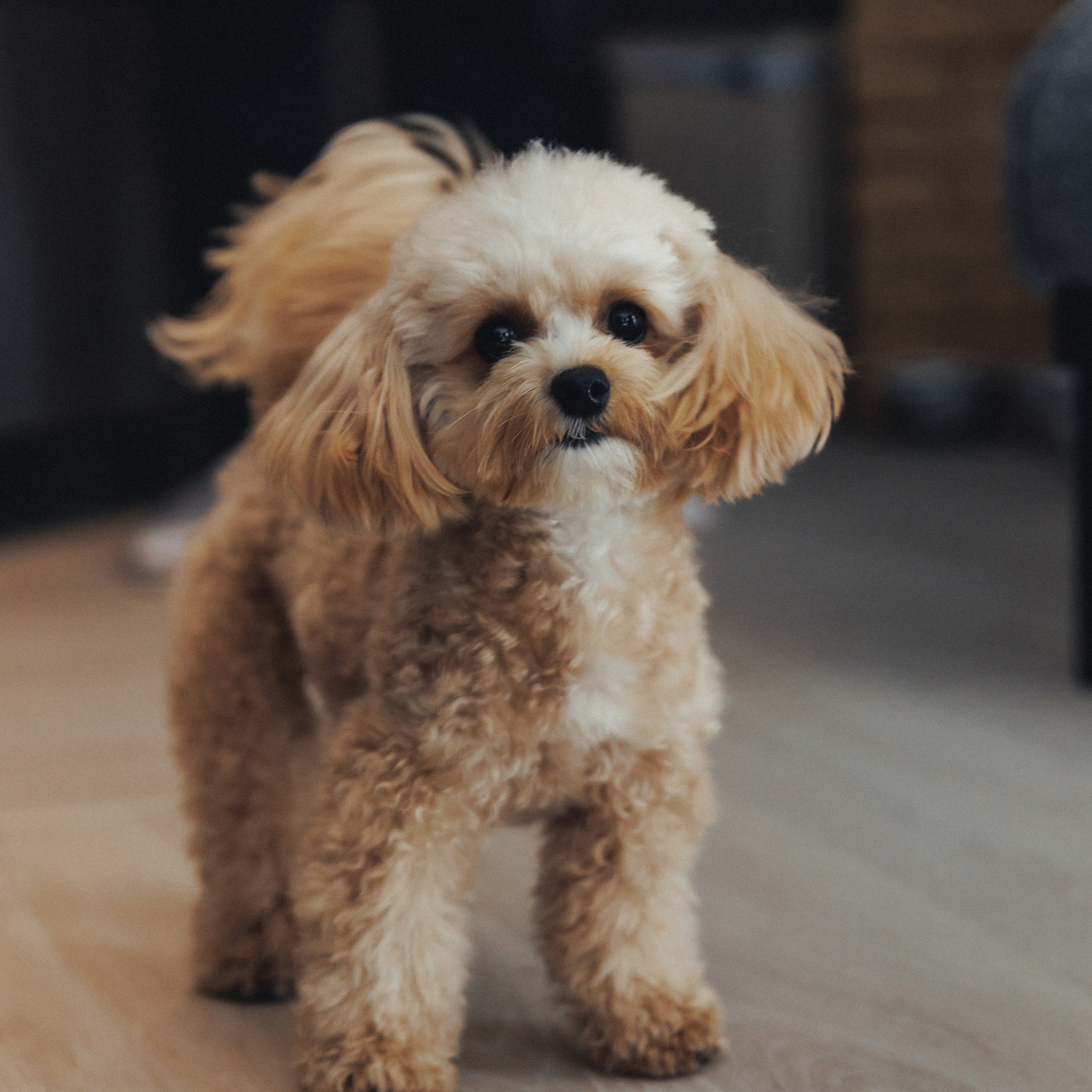 Reviews. Wedding photographer