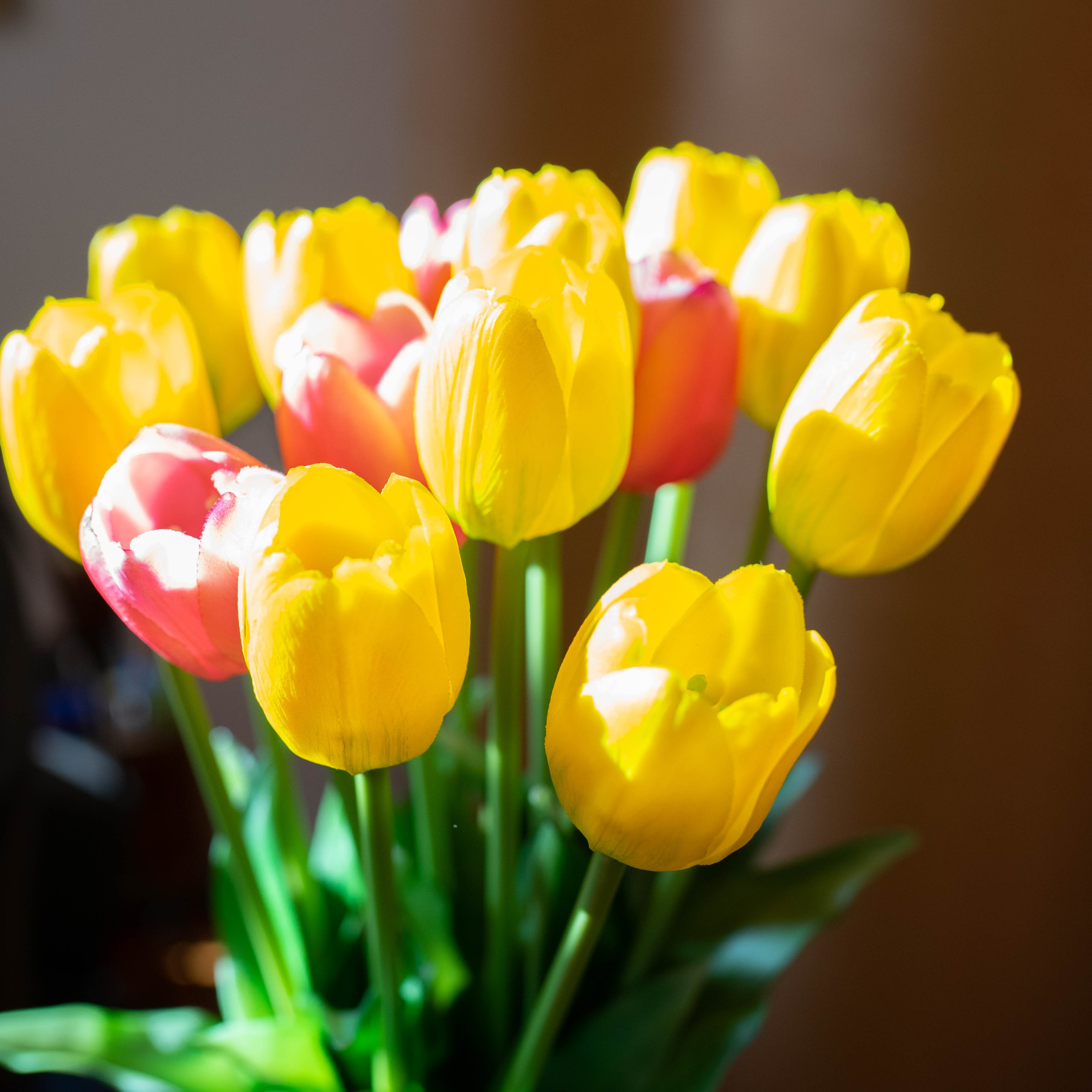 Отзывы. Семейный и церковный фотограф в Одессе Мария Мирная