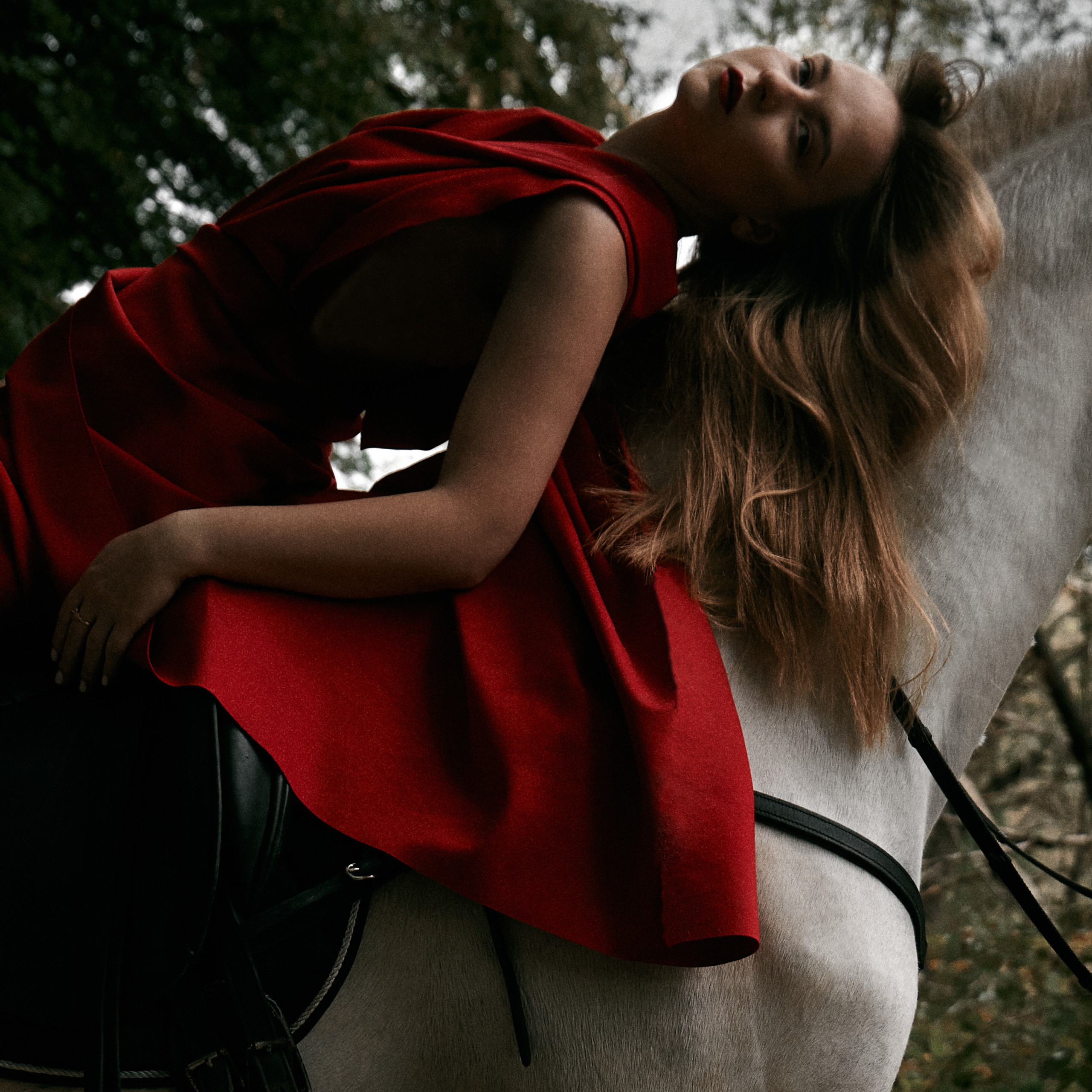 Лісова казка