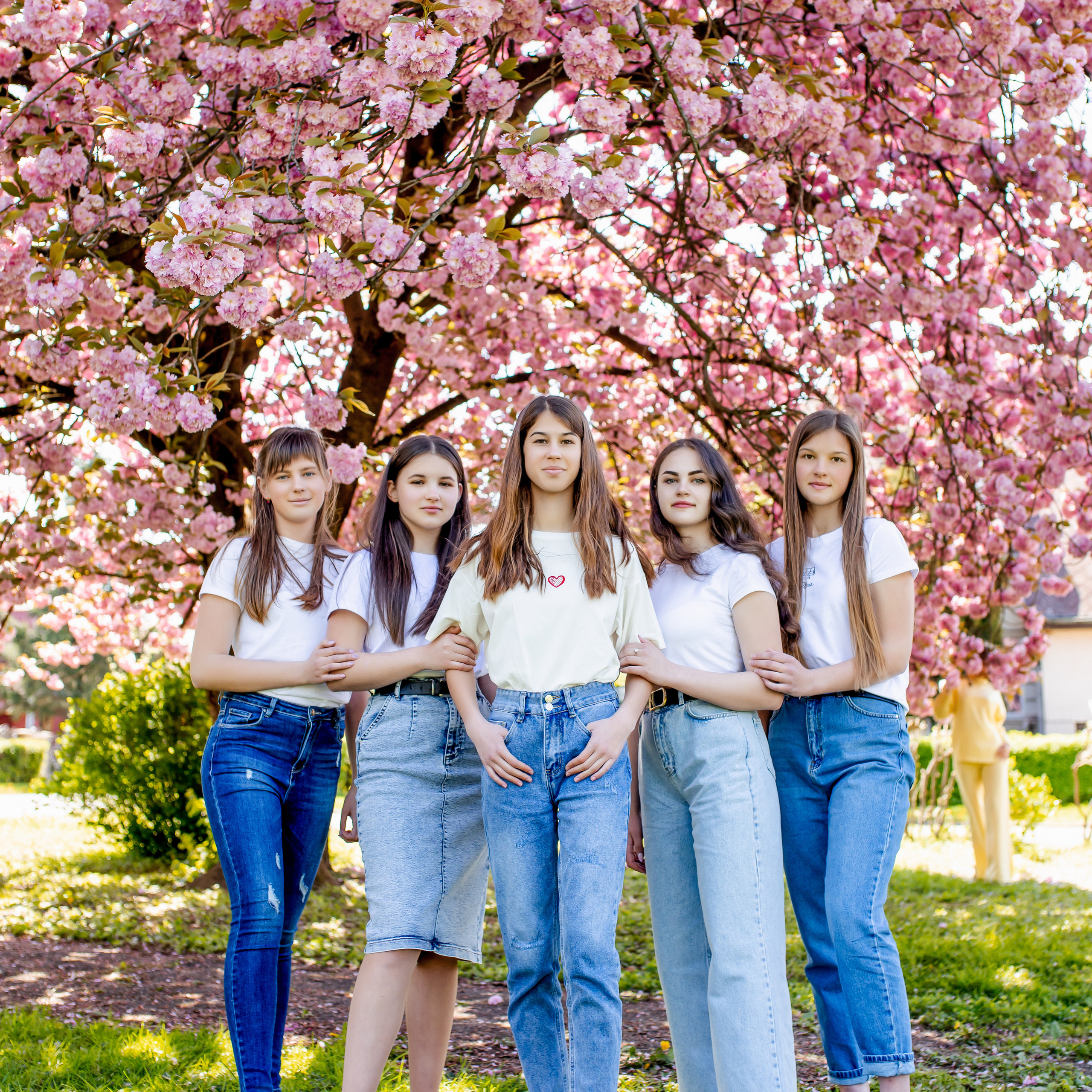 Цвітіння магнолії/сакури