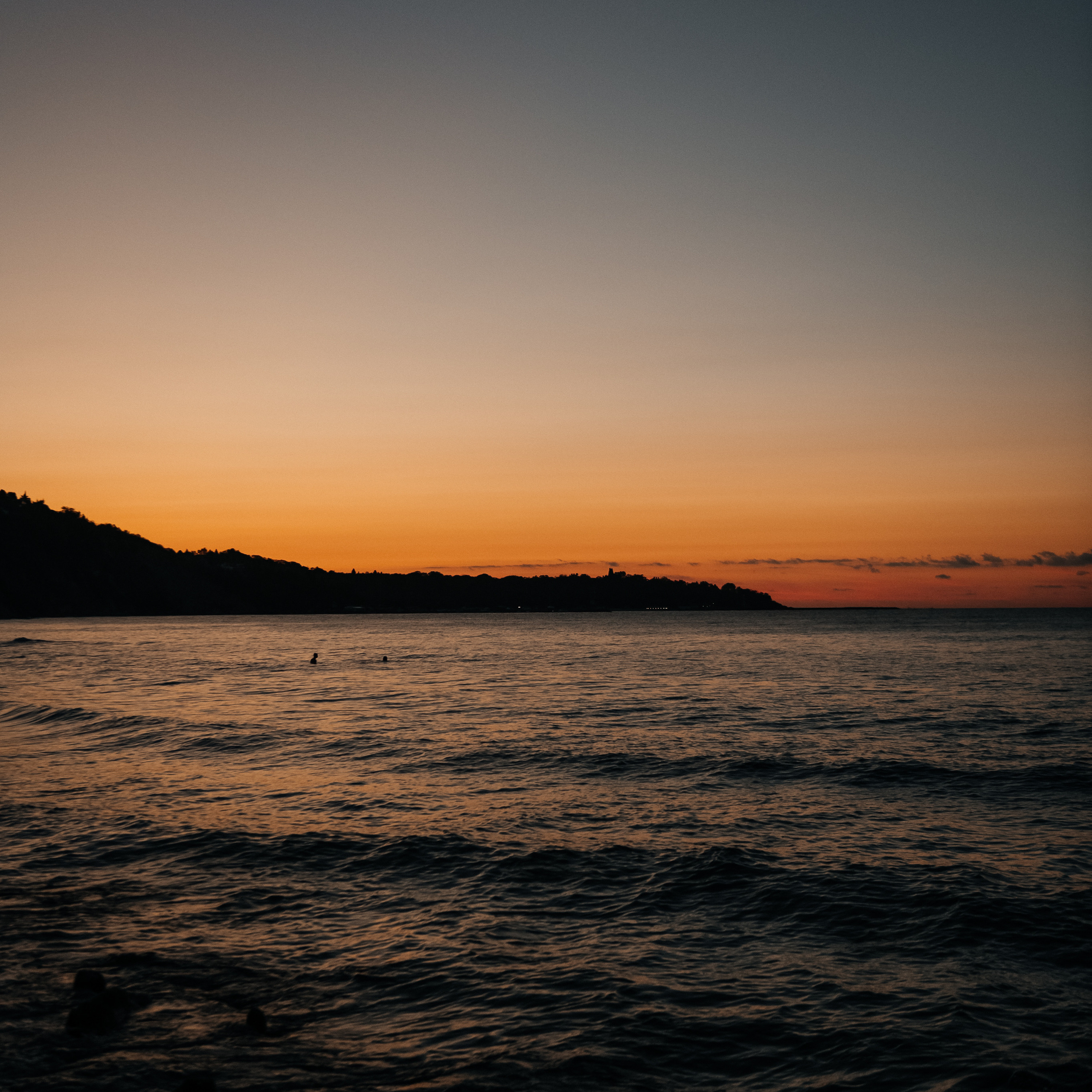 REVIEWS. Alla Podolnaya Photographer