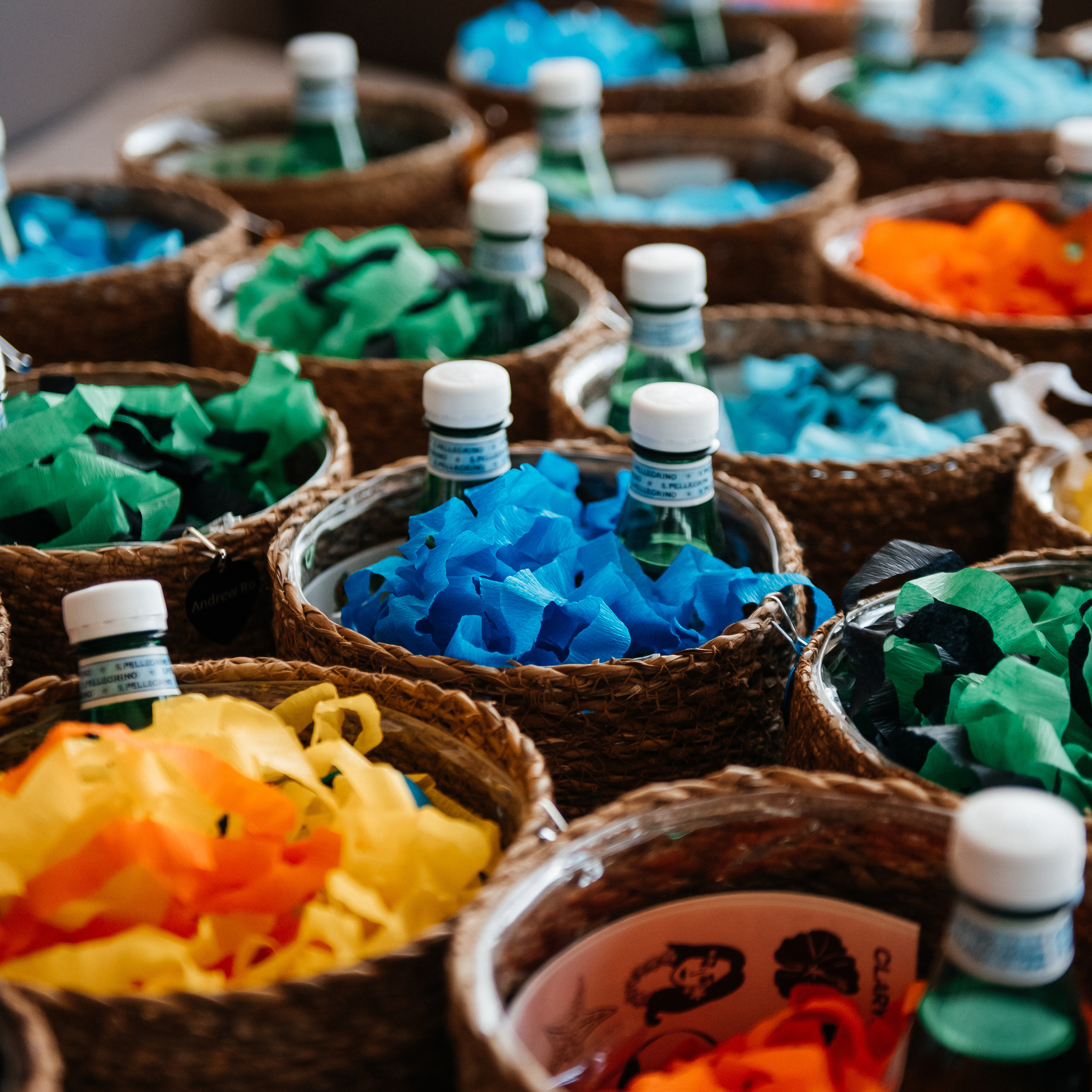 REVIEWS. Alla Podolnaya Photographer