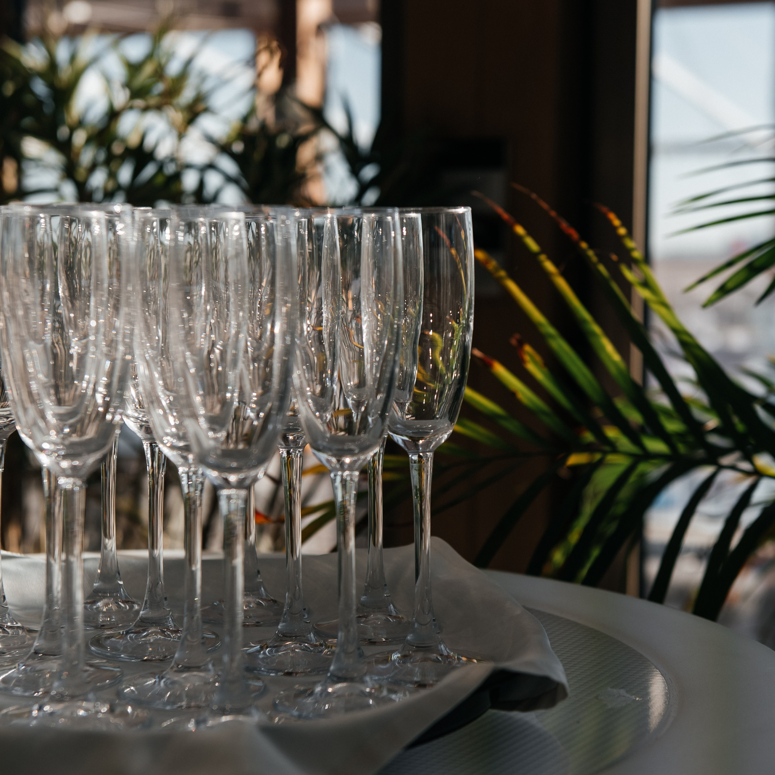 REVIEWS. Alla Podolnaya Photographer