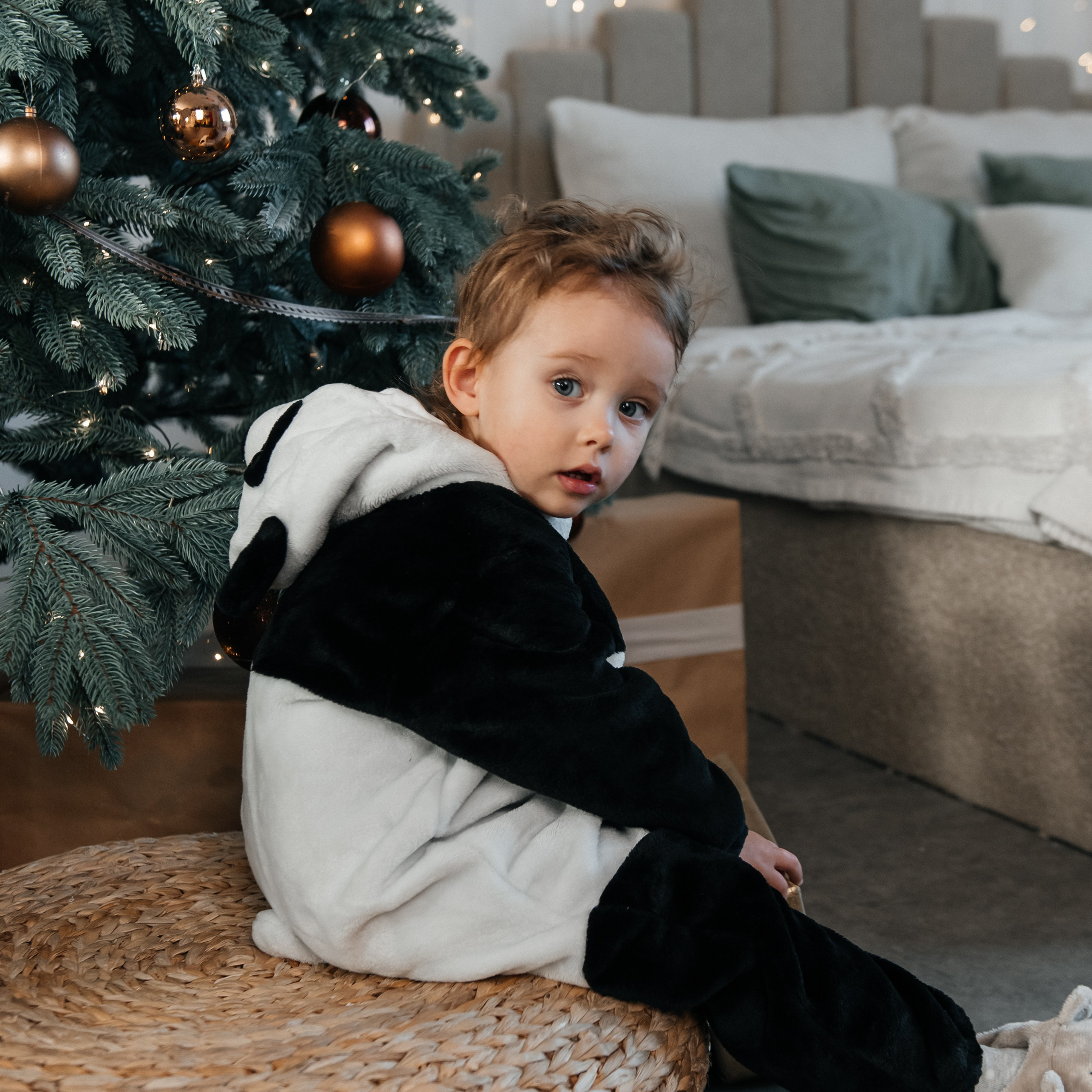 REVIEWS. Alla Podolnaya Photographer