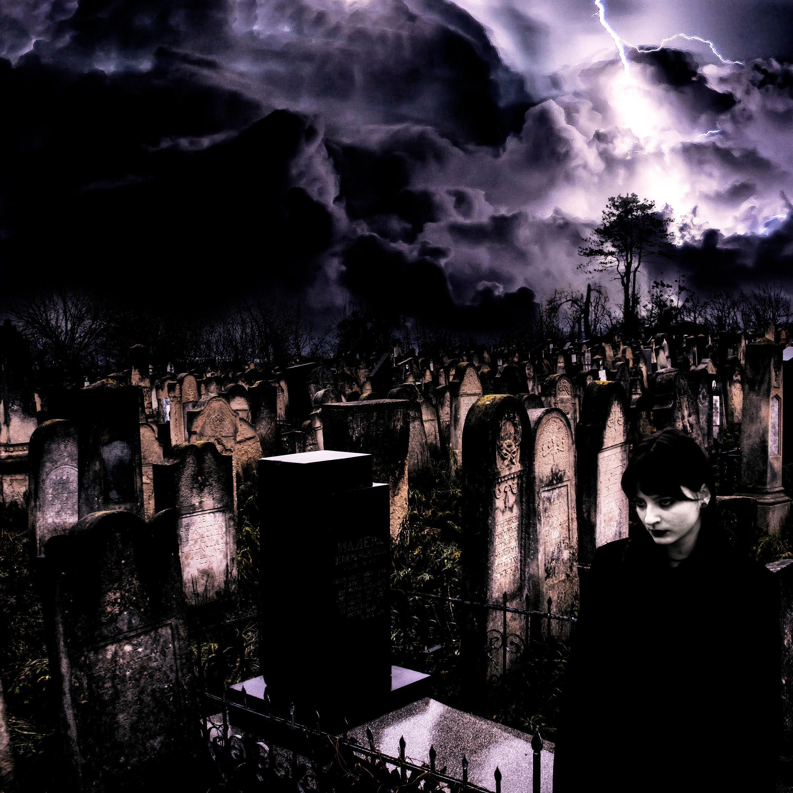 ? *******. +seexteens chase the moon 🌙+