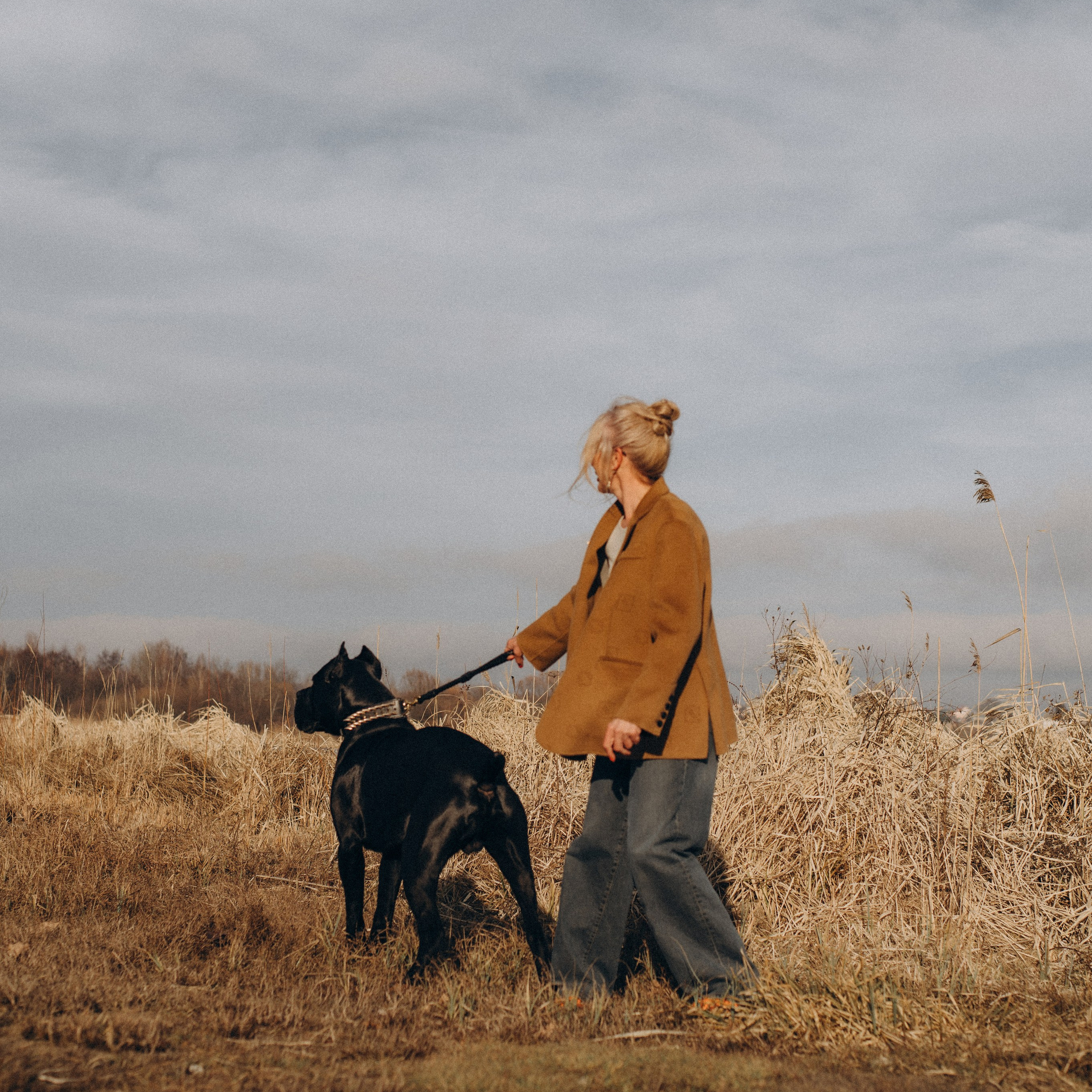 Фотосесія з собакою, зйомка з домашнім улюбленцем, фотосесія на природі Тернопіль, зйомка дівчат