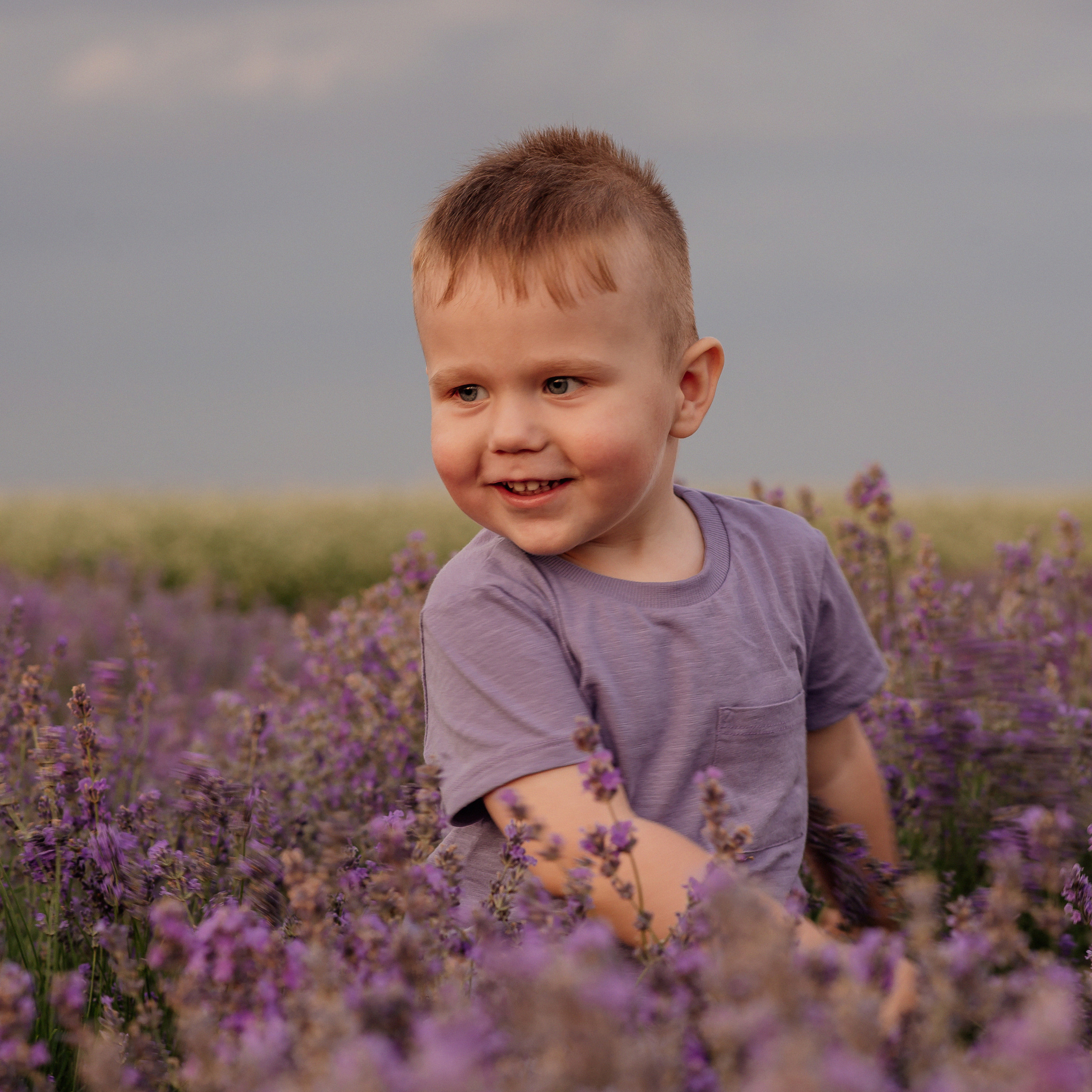 Сімейна фотосесія в лаванді. Микола, Христина, Марк, Макар, Меланія.