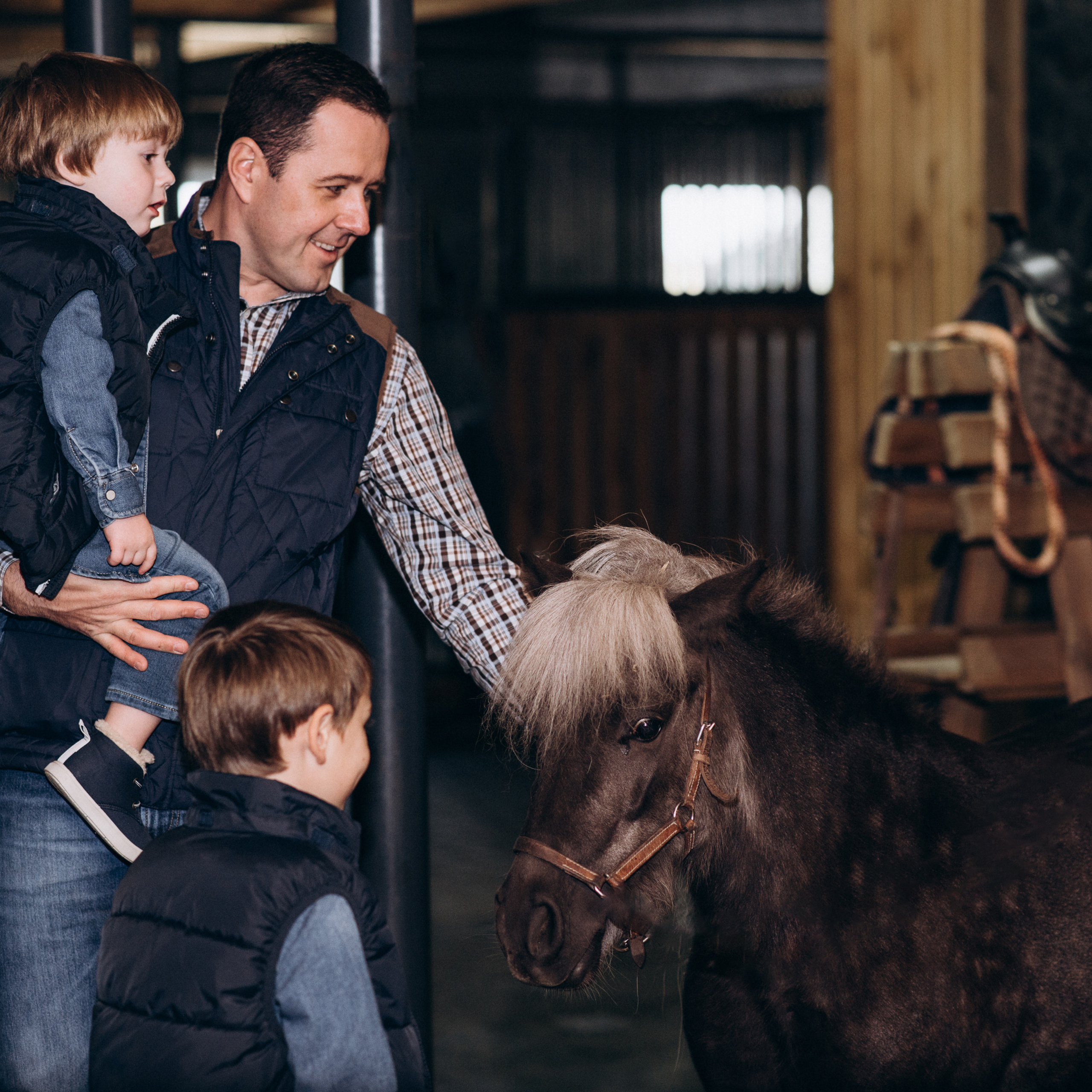 Сімейна фотосесія з кониками. Тернопіль