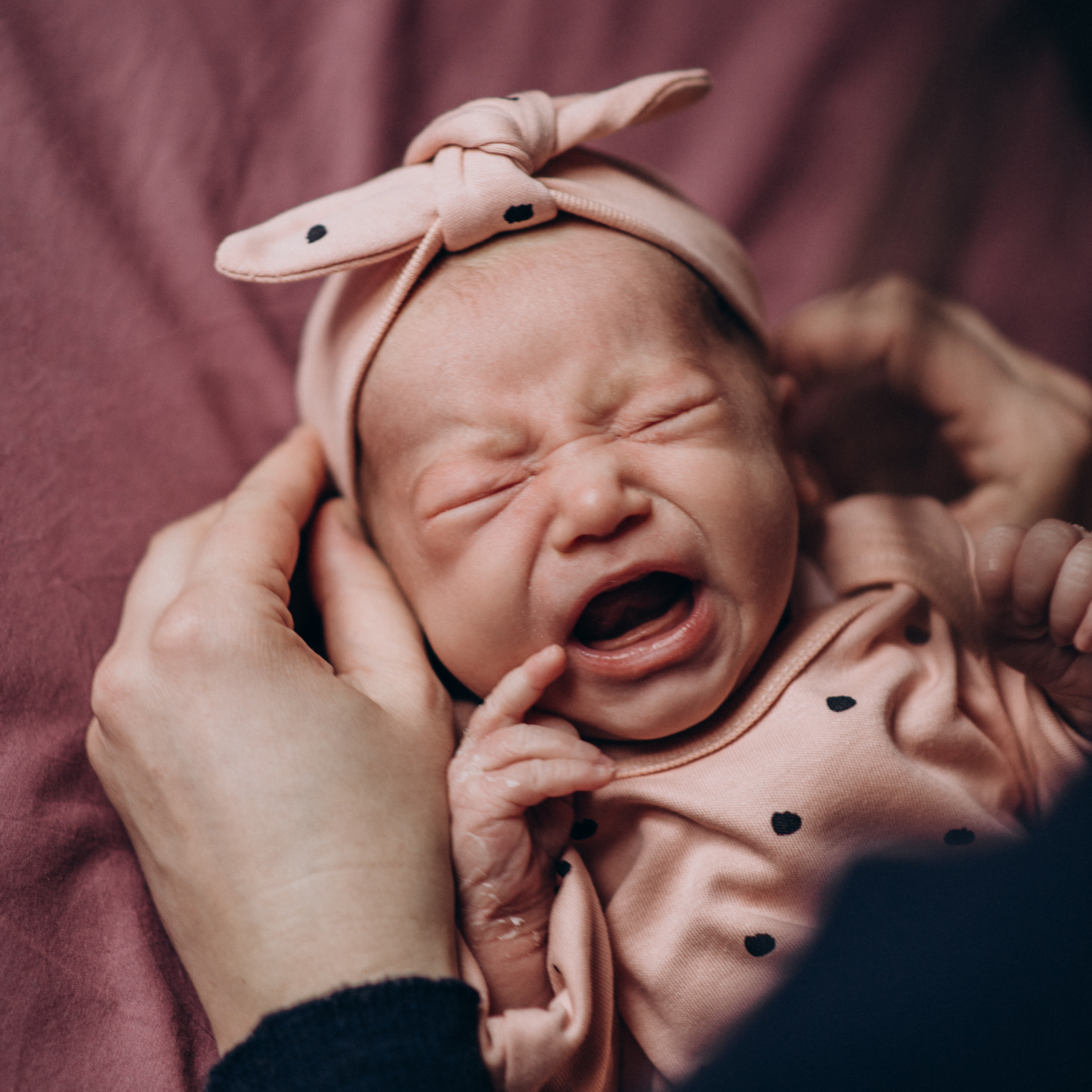 Фотосесія новонароджених Тернопіль, фотосесія newborn, фотосесія ньюборн Тернопіль, фотосесія немовлят, сімейний фотограф Тернопіль
