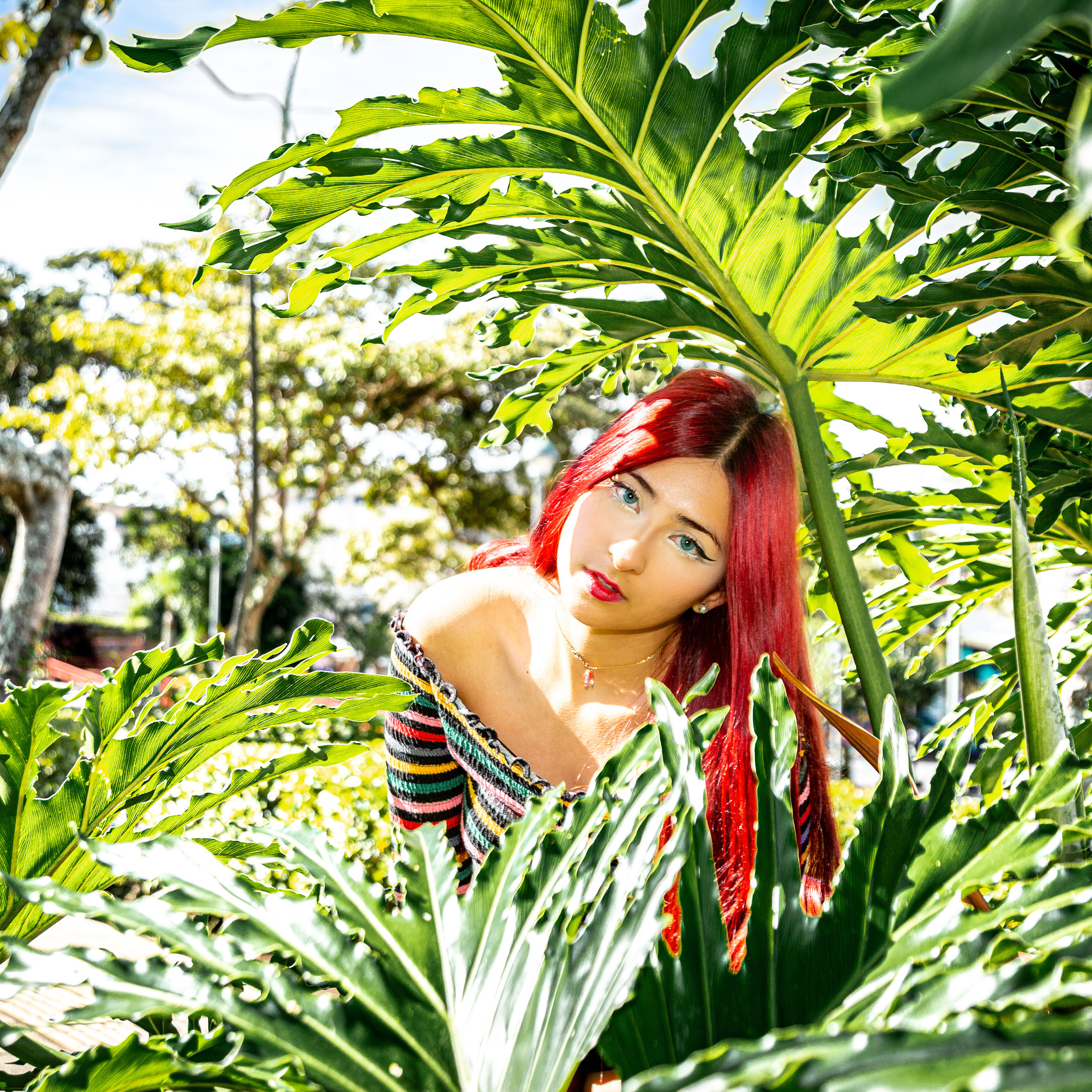 Sofi. Thomas Clark photography