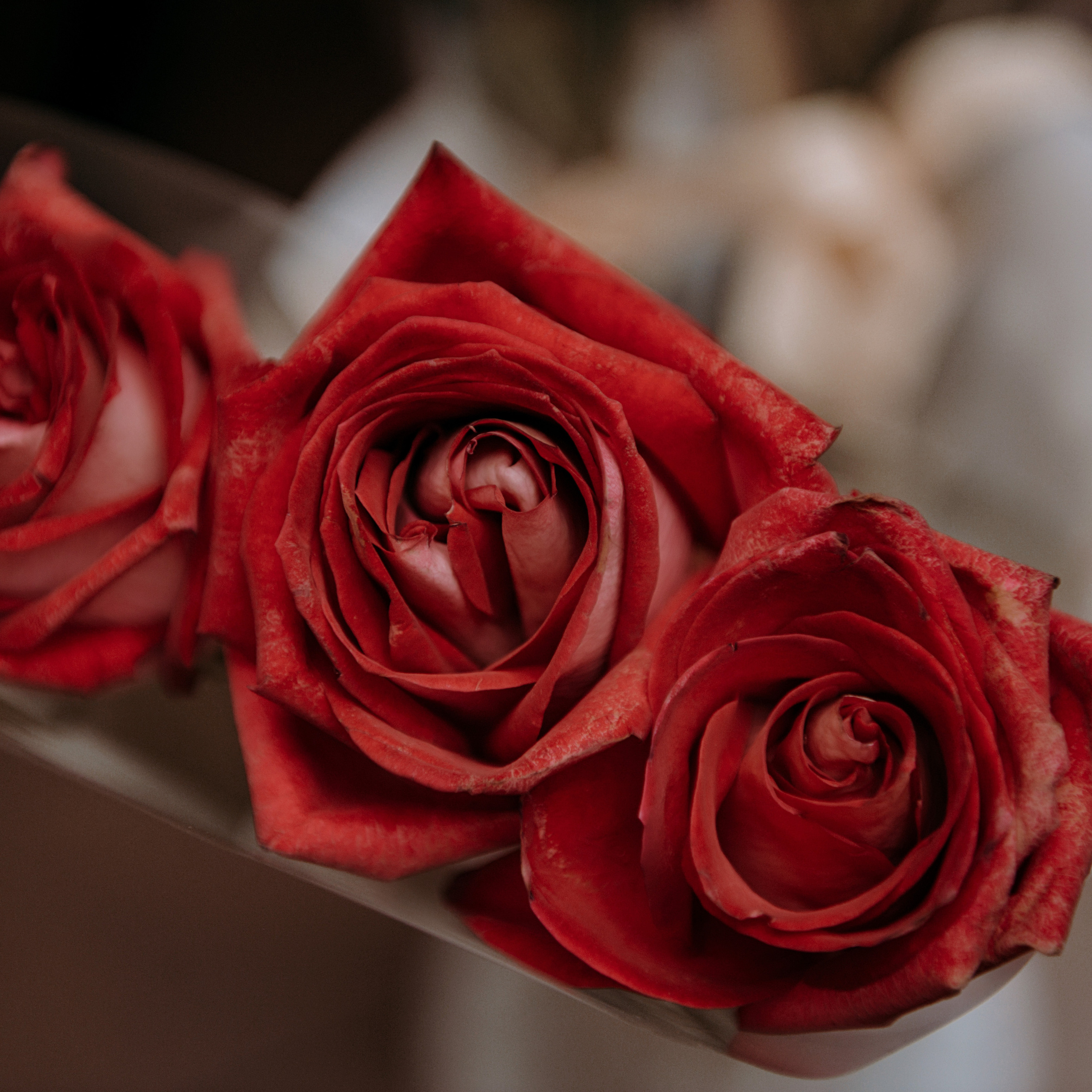 Feedback. Semashko Photography — весільні та сімейні фотографи