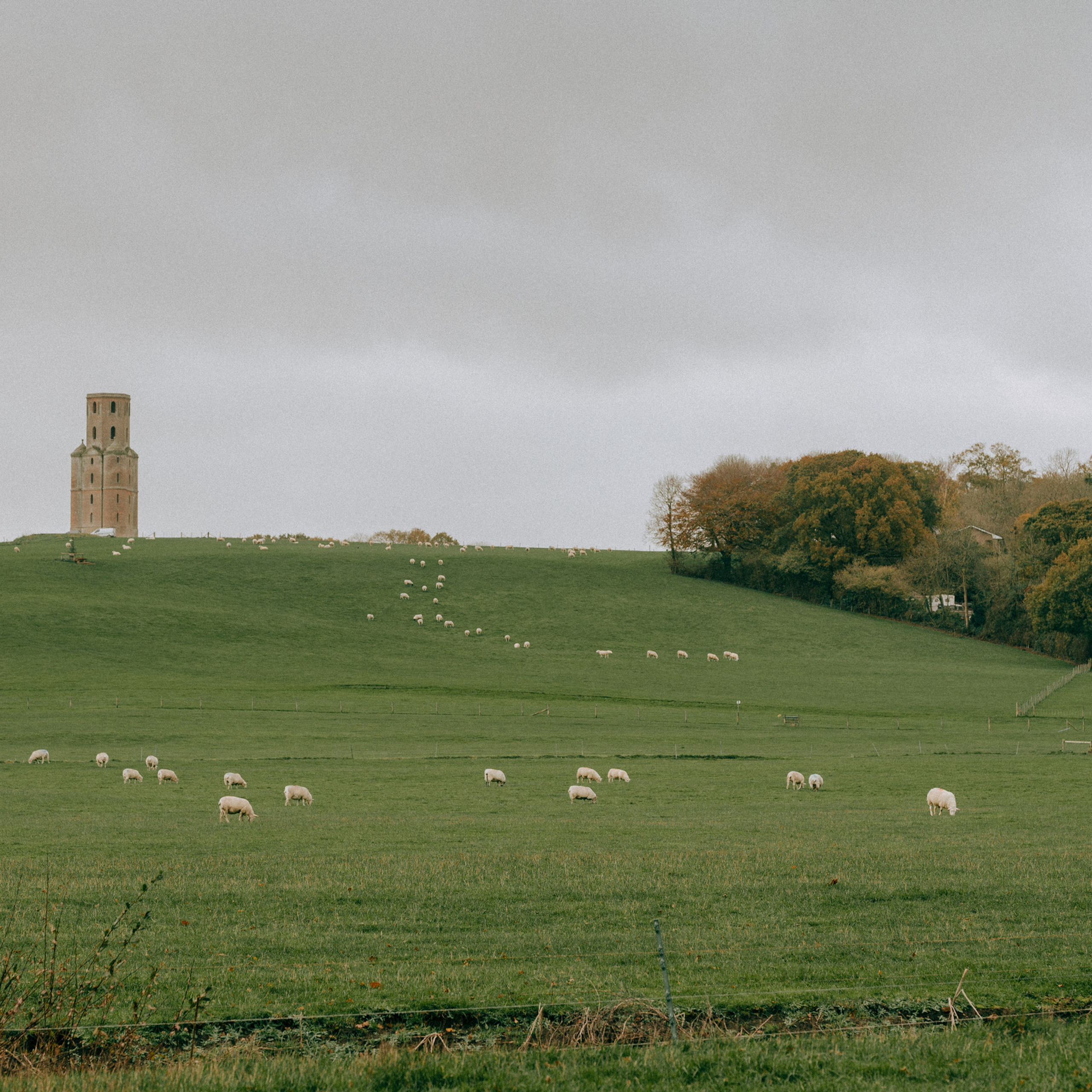 Feedback. Family photography in Europe. Vienna, Bratislava, London, Dublin, Copenhagen, Amsterdam, Barcelona
