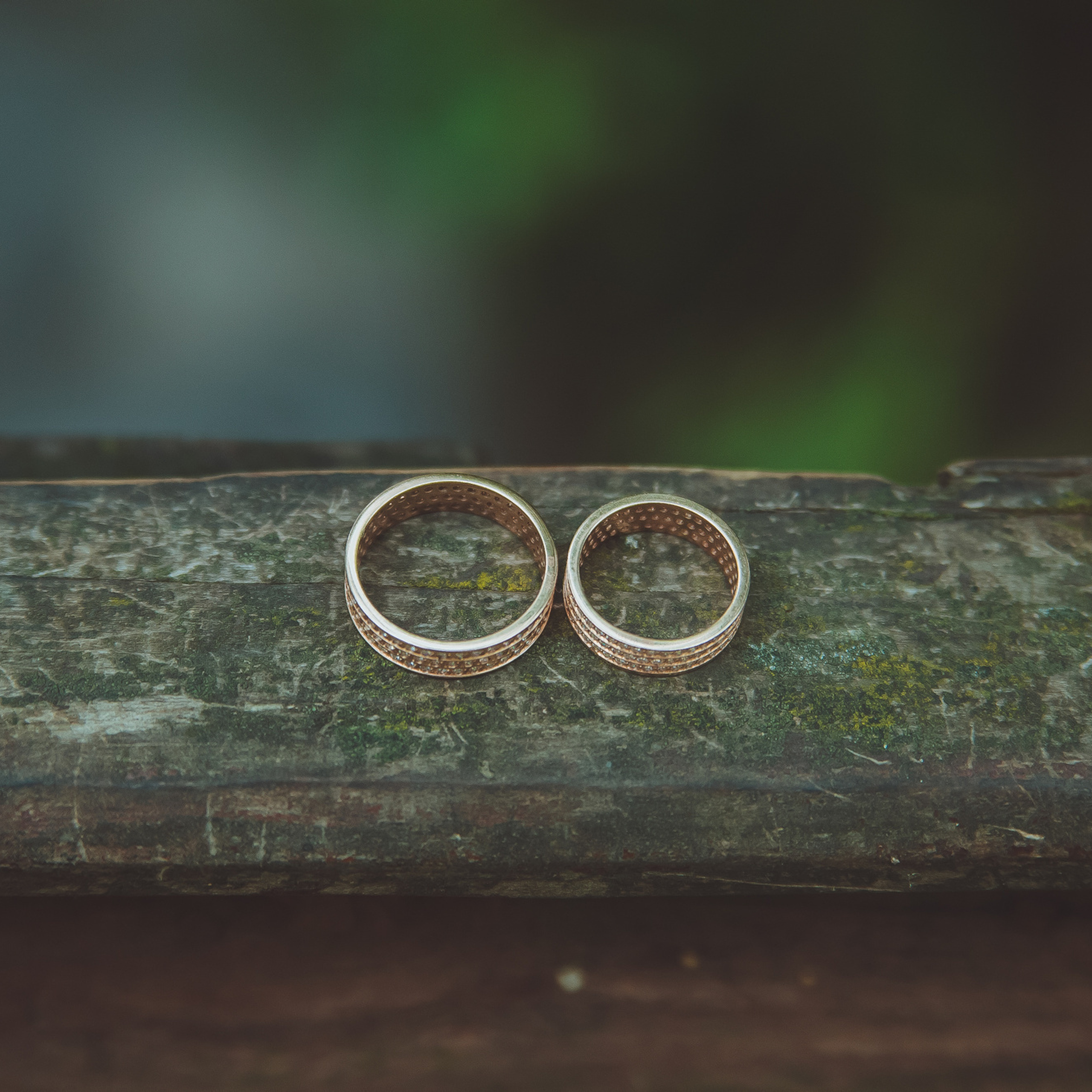 Владимир и Илона