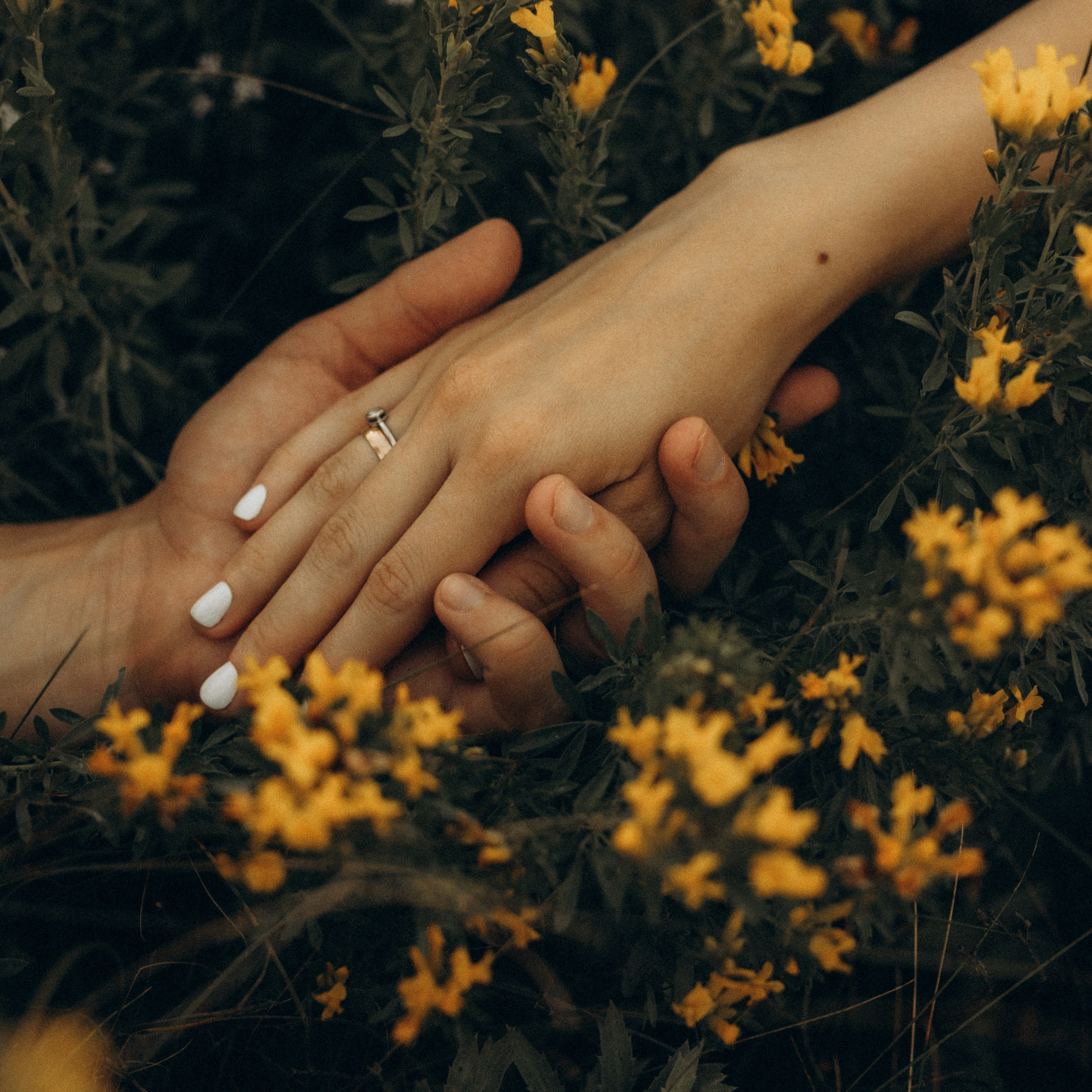 This is happiness — this is us......