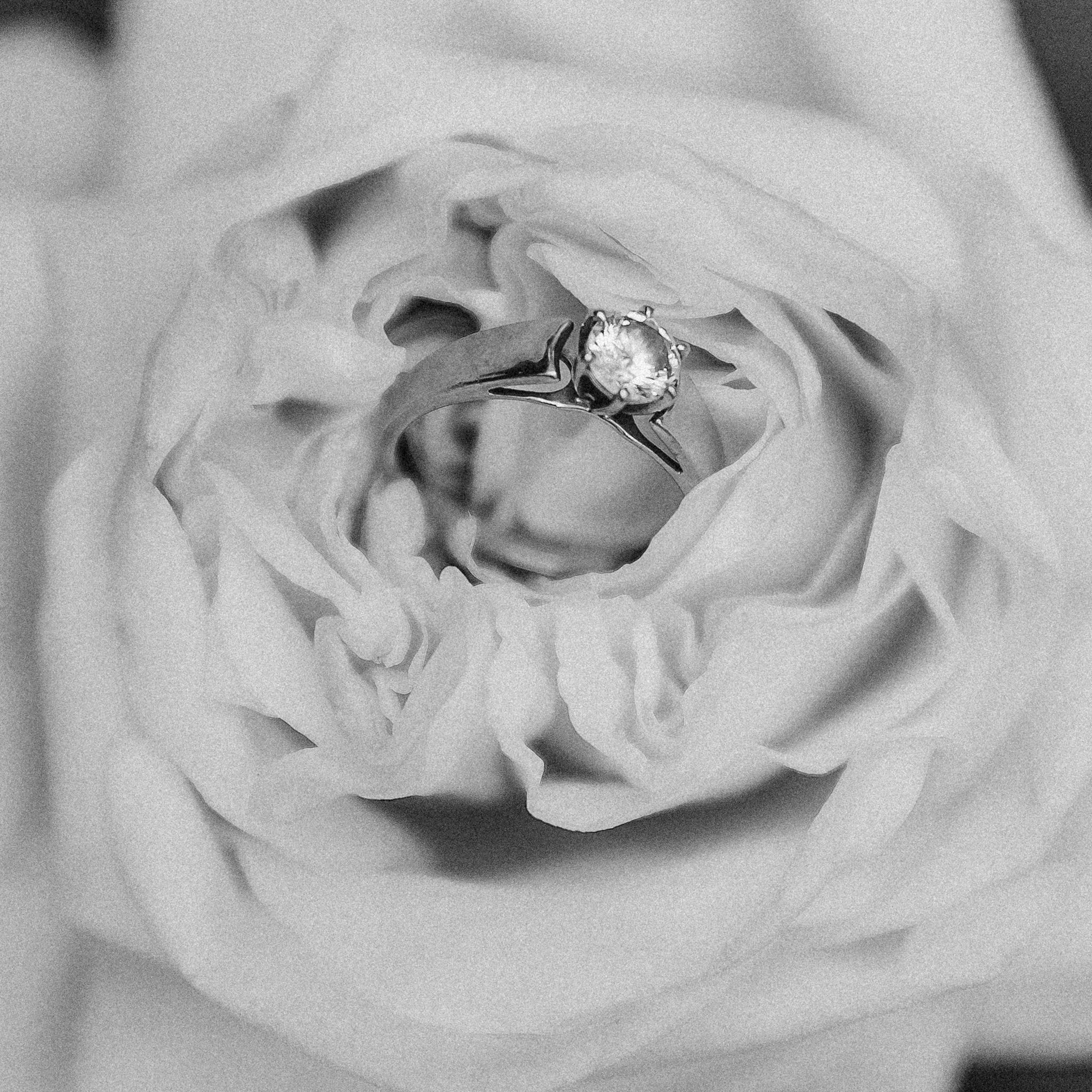 Відгуки. Весільний та сімейний фотограф Черкаси-Київ