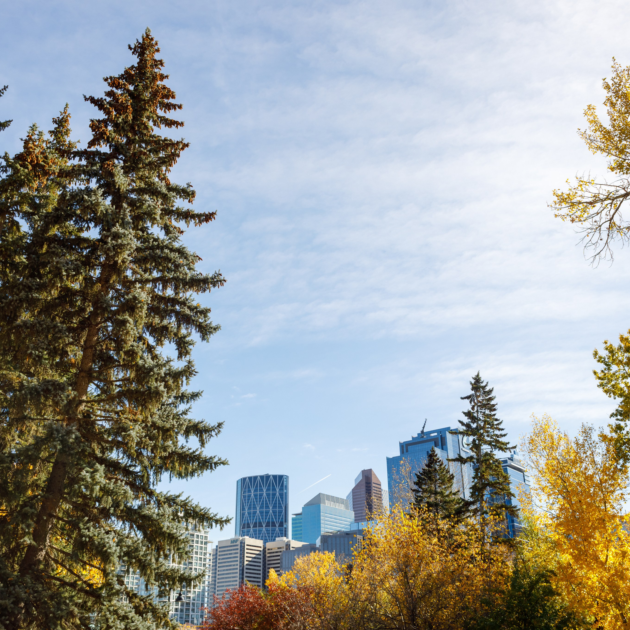 Reviews. Photographer Calgary