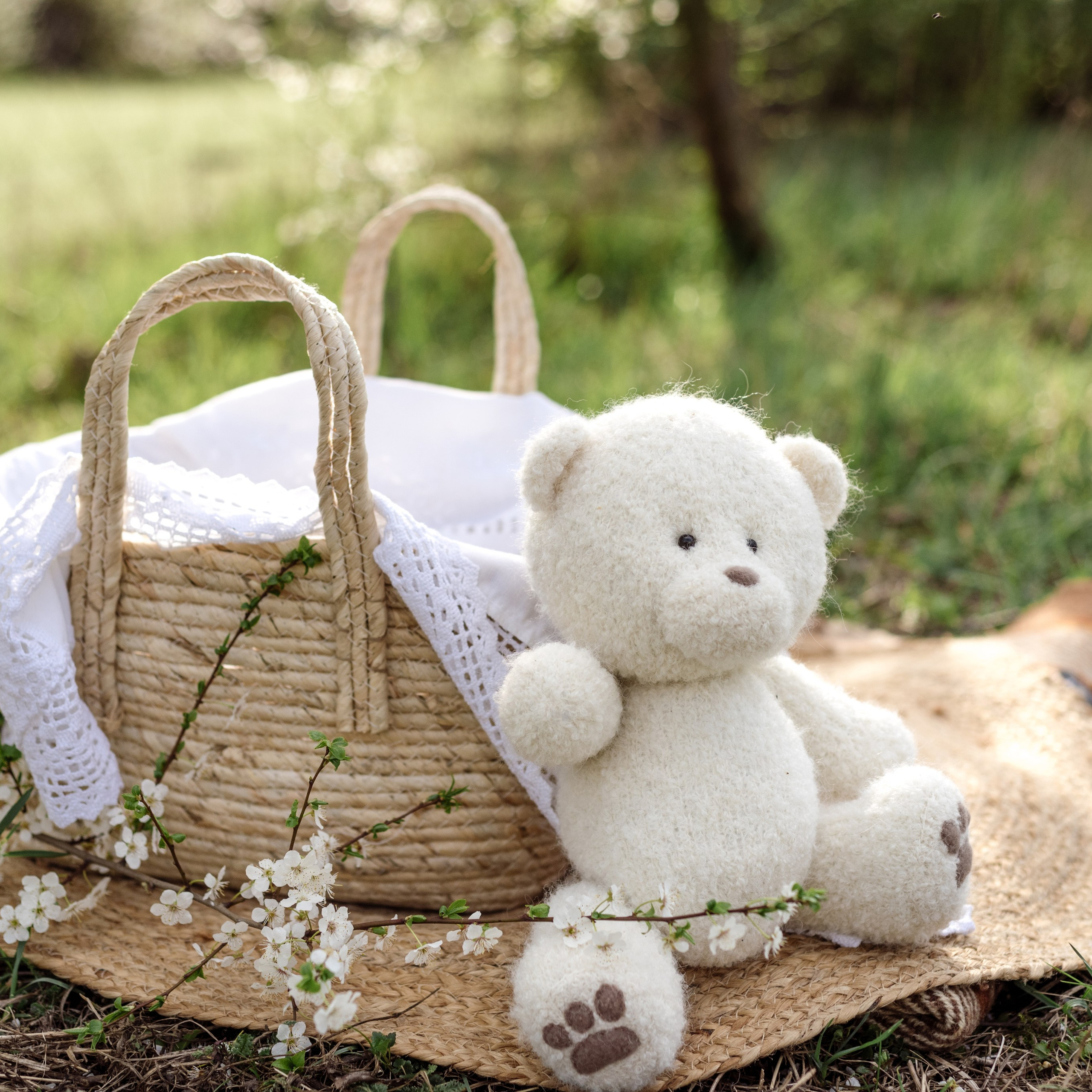 Тимофій фотопрогулянка