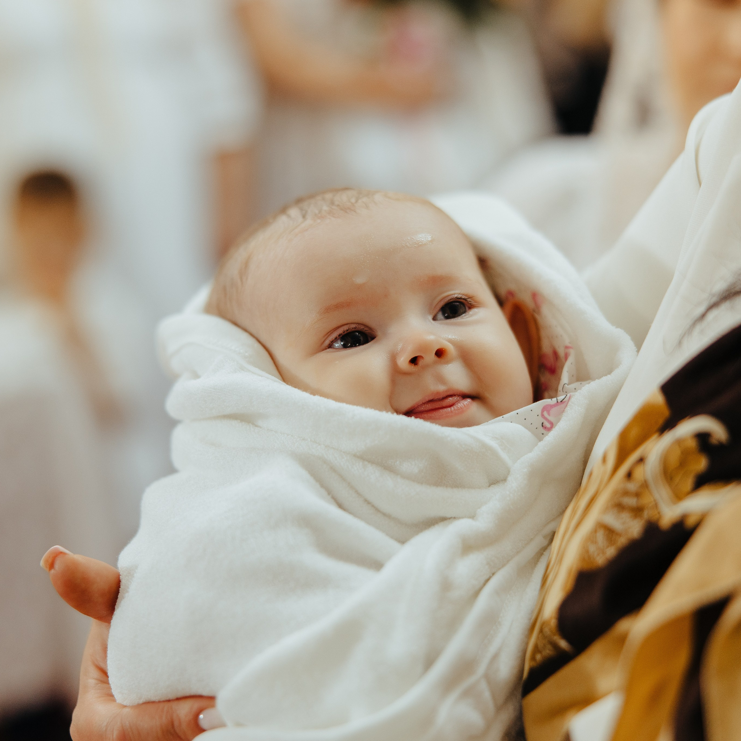 Recenzii. Fotograf de nuntă și evenimente private!