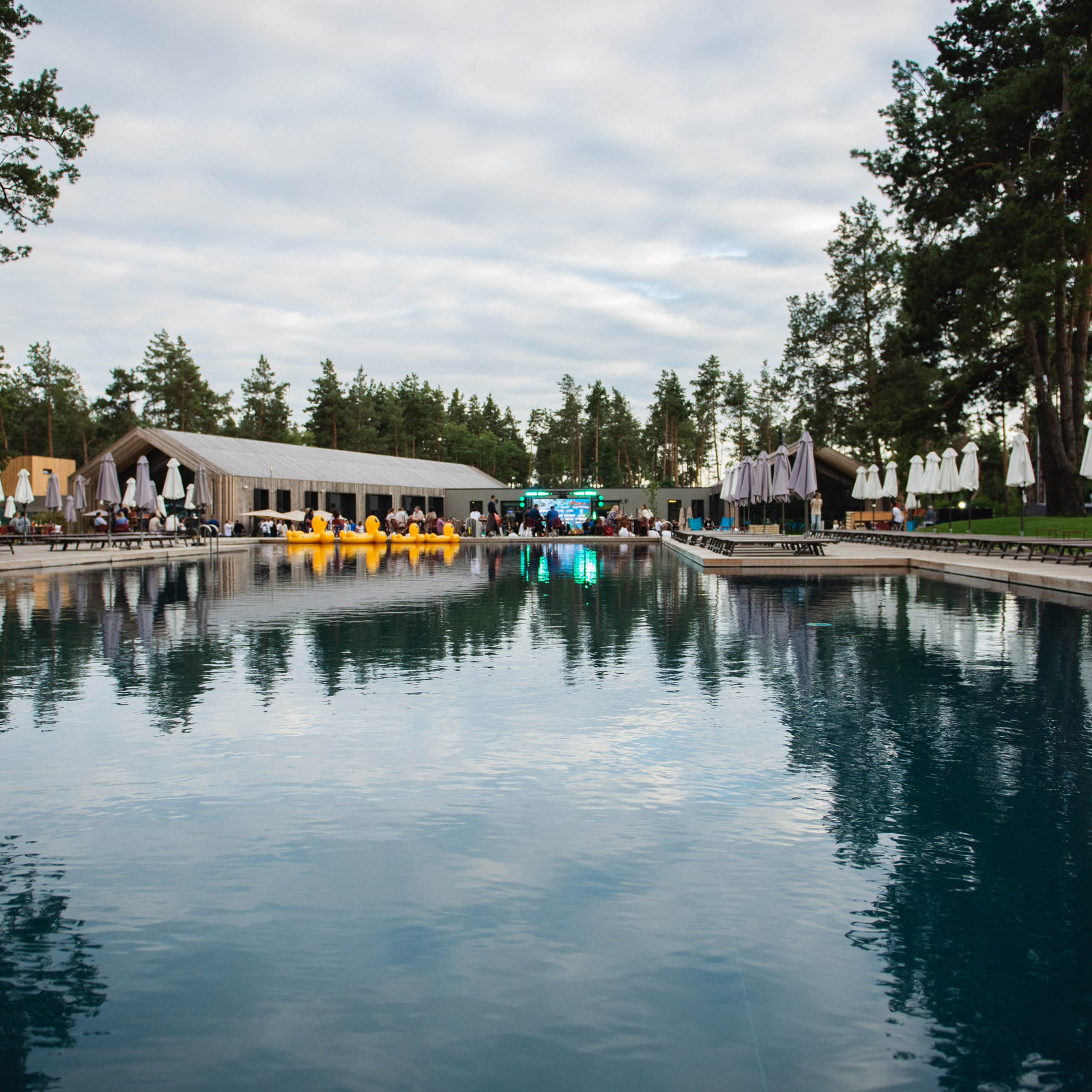 Корпоратив в Шелесті