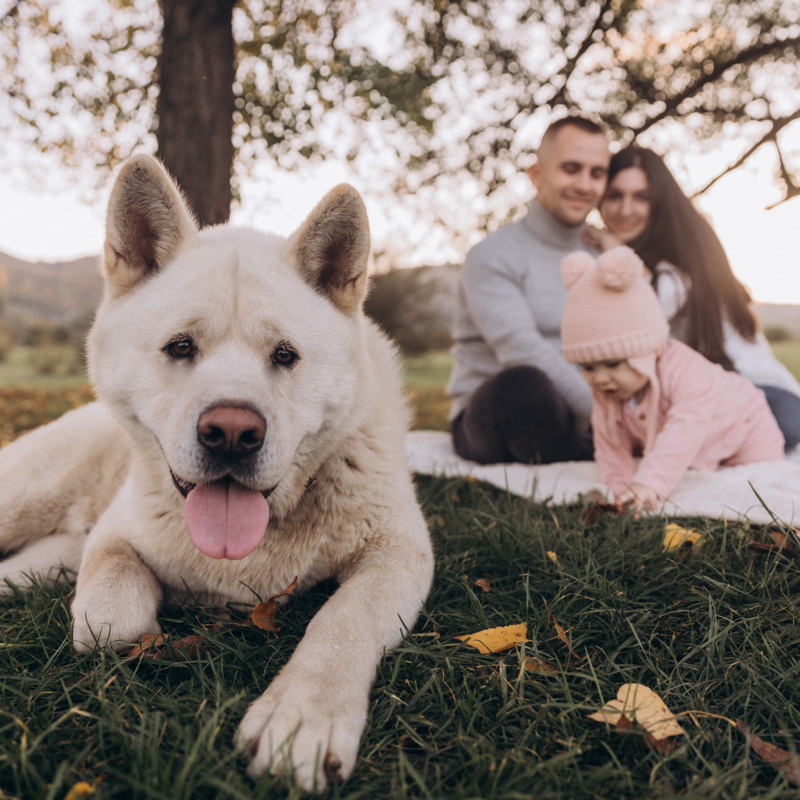 Відгуки. Кожне фото - це історія, про яку я розповідаю без слів