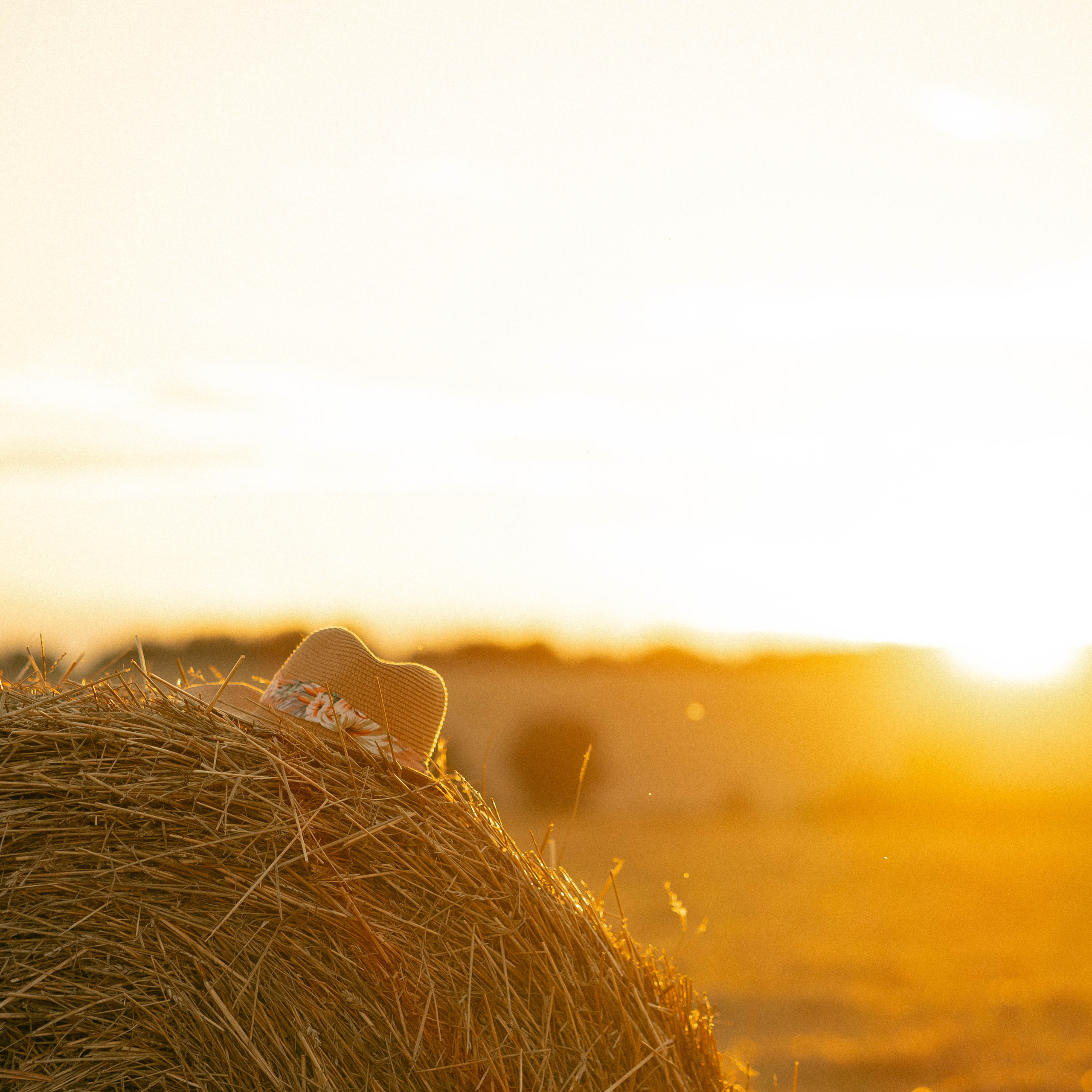 Відгуки. Фотограф Софіївська Борщагівка Софиевская Борщаговка Колода Олена