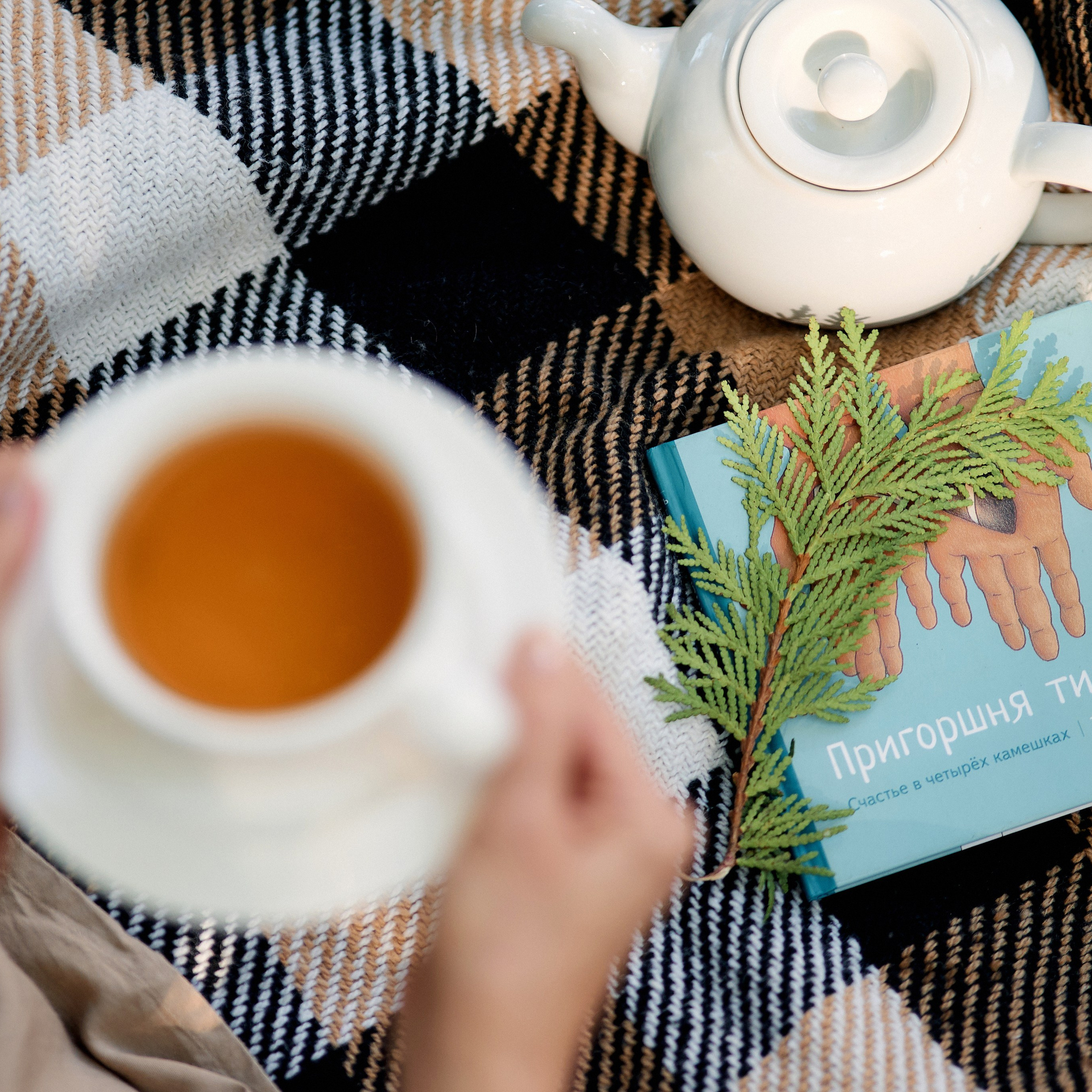 Відгуки про весільного фотографа в Києві та Хмельницькому Тачанського. Фотограф на весілля Київ, Хмельницький, Львів. Тачанський Володимир