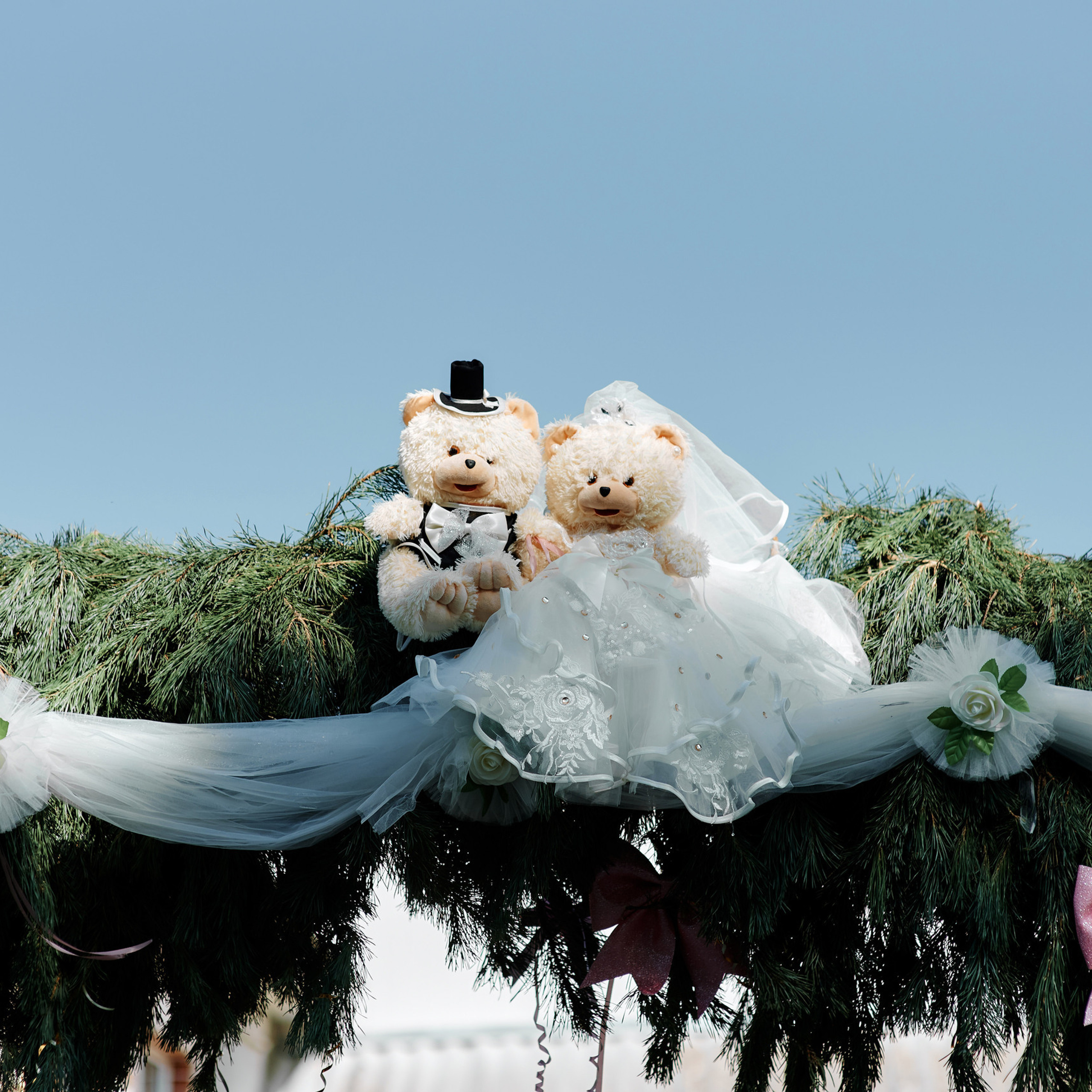 Відгуки про весільного фотографа в Києві та Хмельницькому Тачанського. Фотограф на весілля Київ, Хмельницький, Львів. Тачанський Володимир