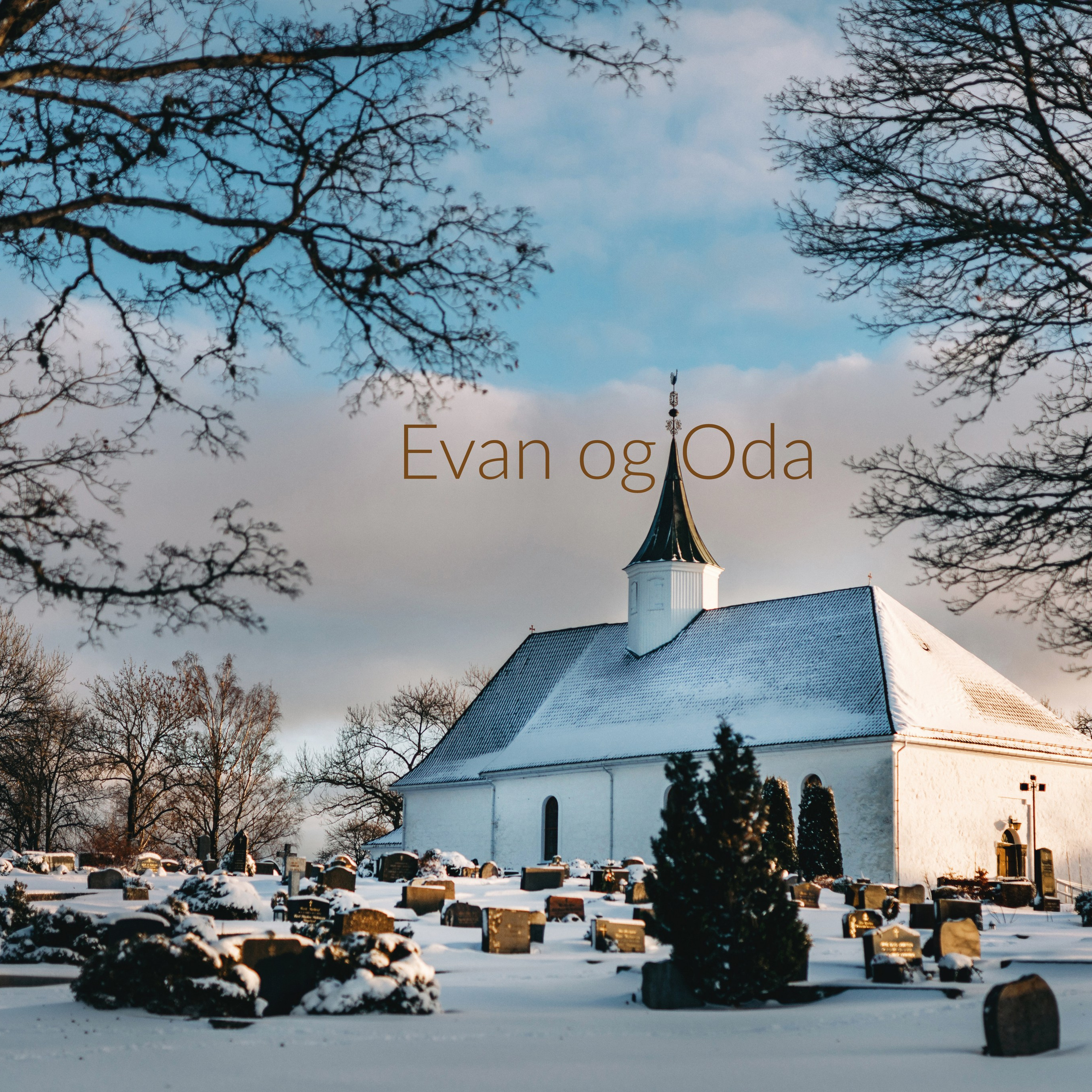 FEEDBACK. Wedding and family photographer in Kiev and Europe Oleg Nemchenko