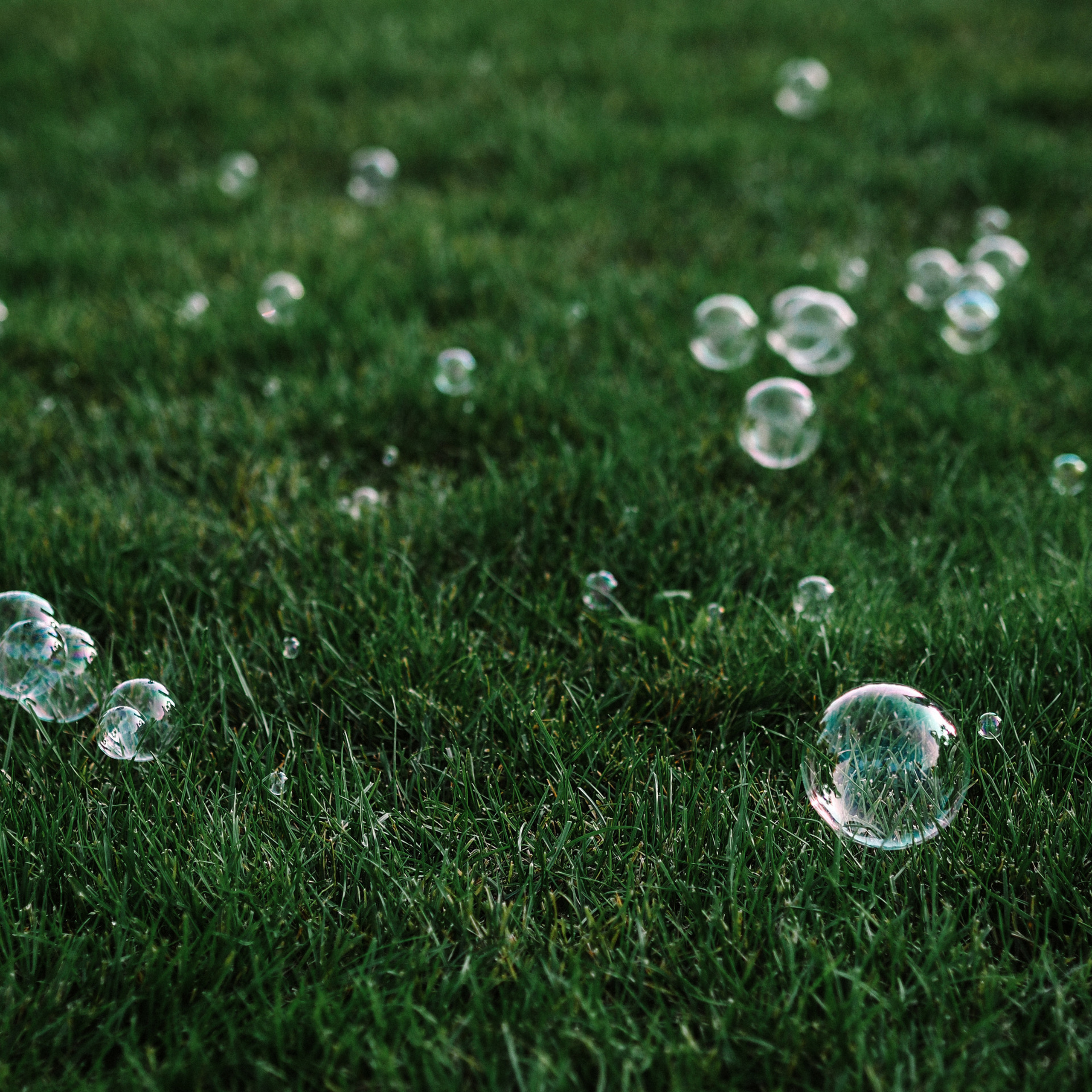 FEEDBACK. Wedding and family photographer in Kiev and Europe Oleg Nemchenko